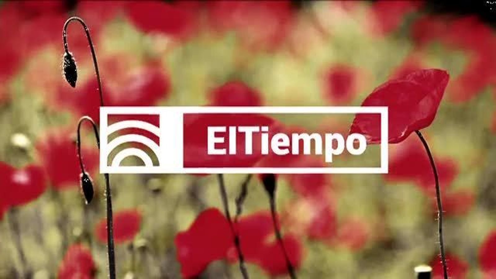 El Tiempo 2 24.11.2017