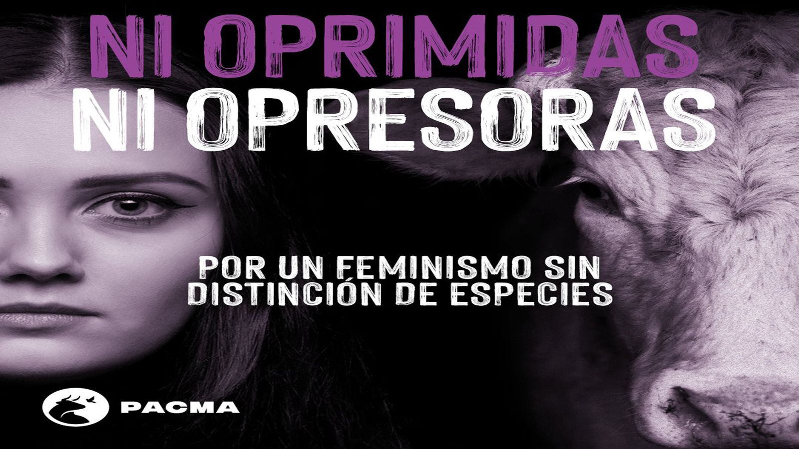 Pacma