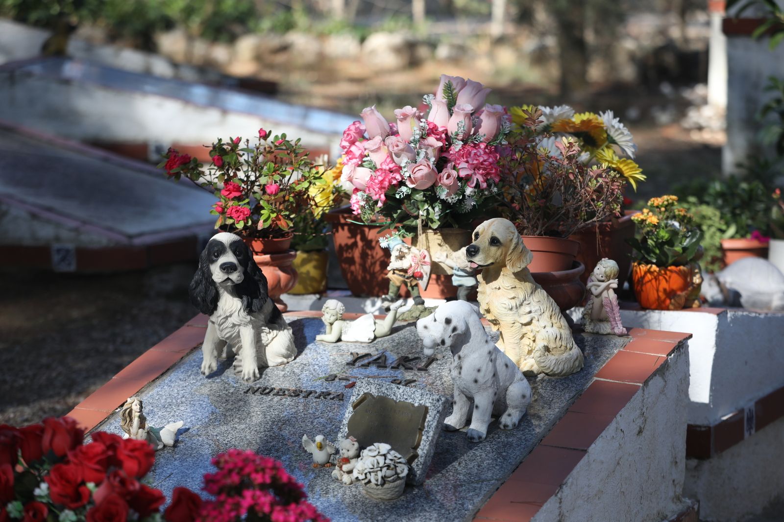 Cementerio de animales de Arganda del Rey
