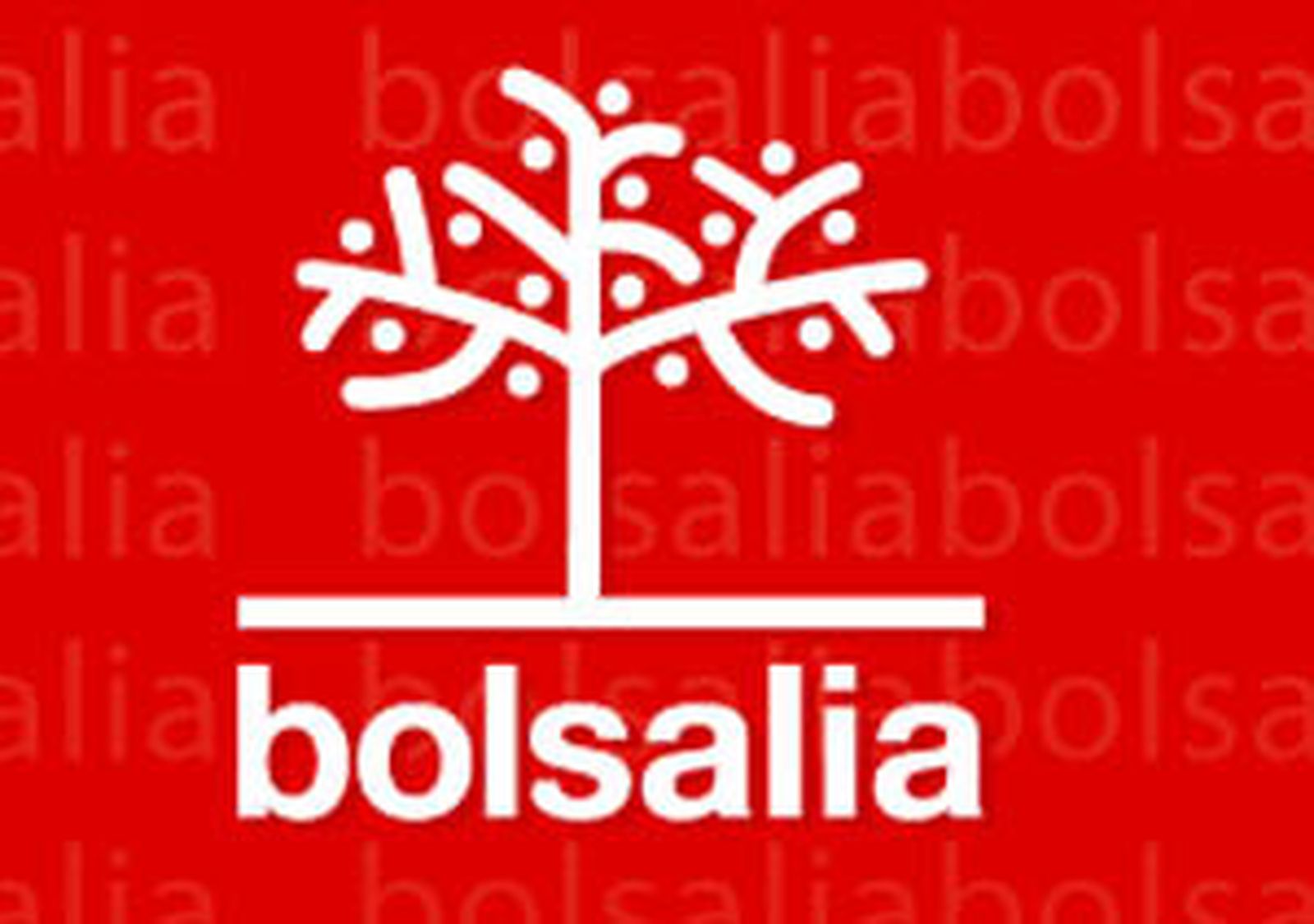 bolsalia300
