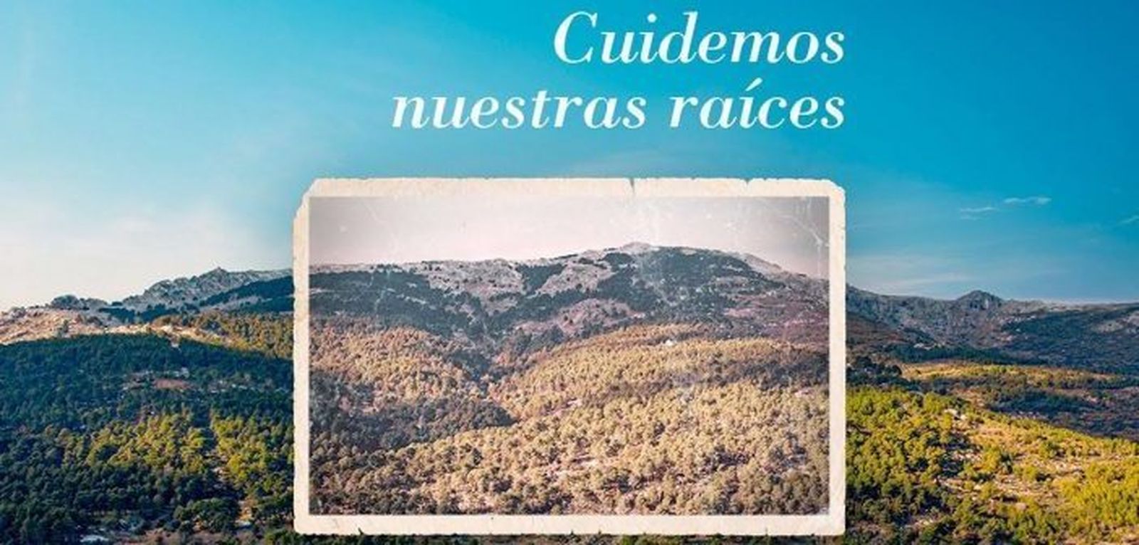 Campaña de prevención de incendios forestales de San Lorenzo de El Escorial