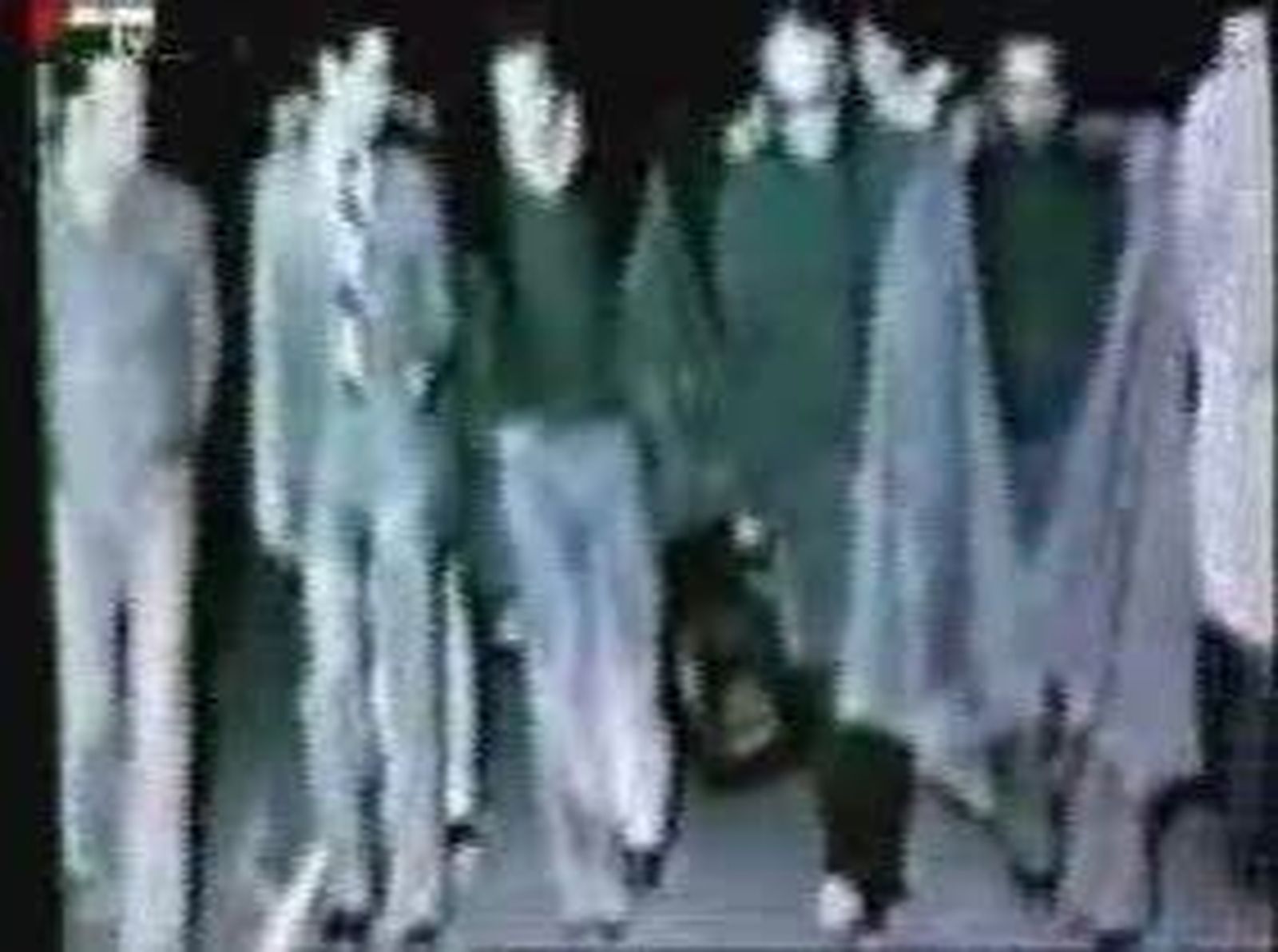 PSOEsahara_20101120V0.wmv