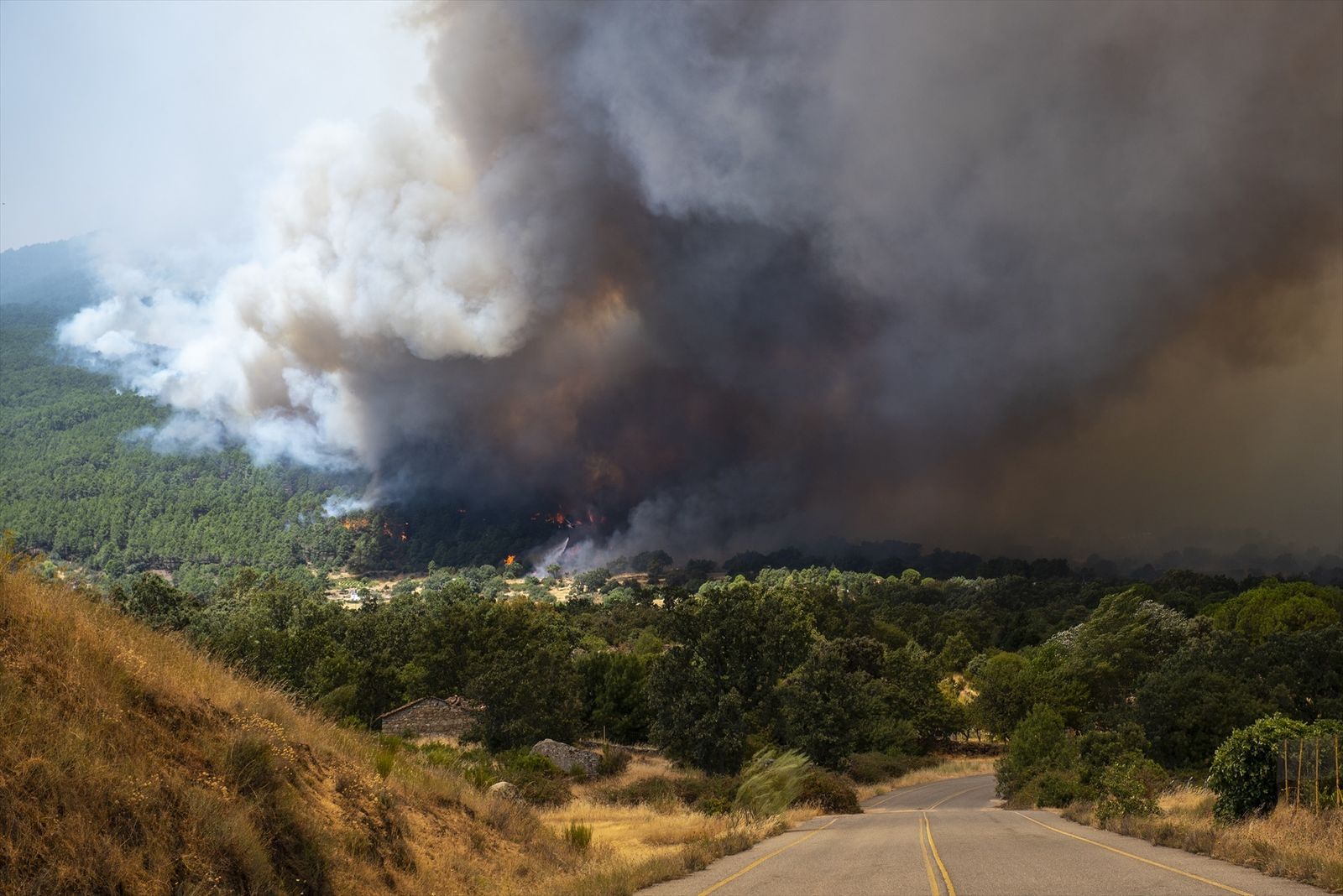 Incendio de Ávila a la altura de El Tiemblo