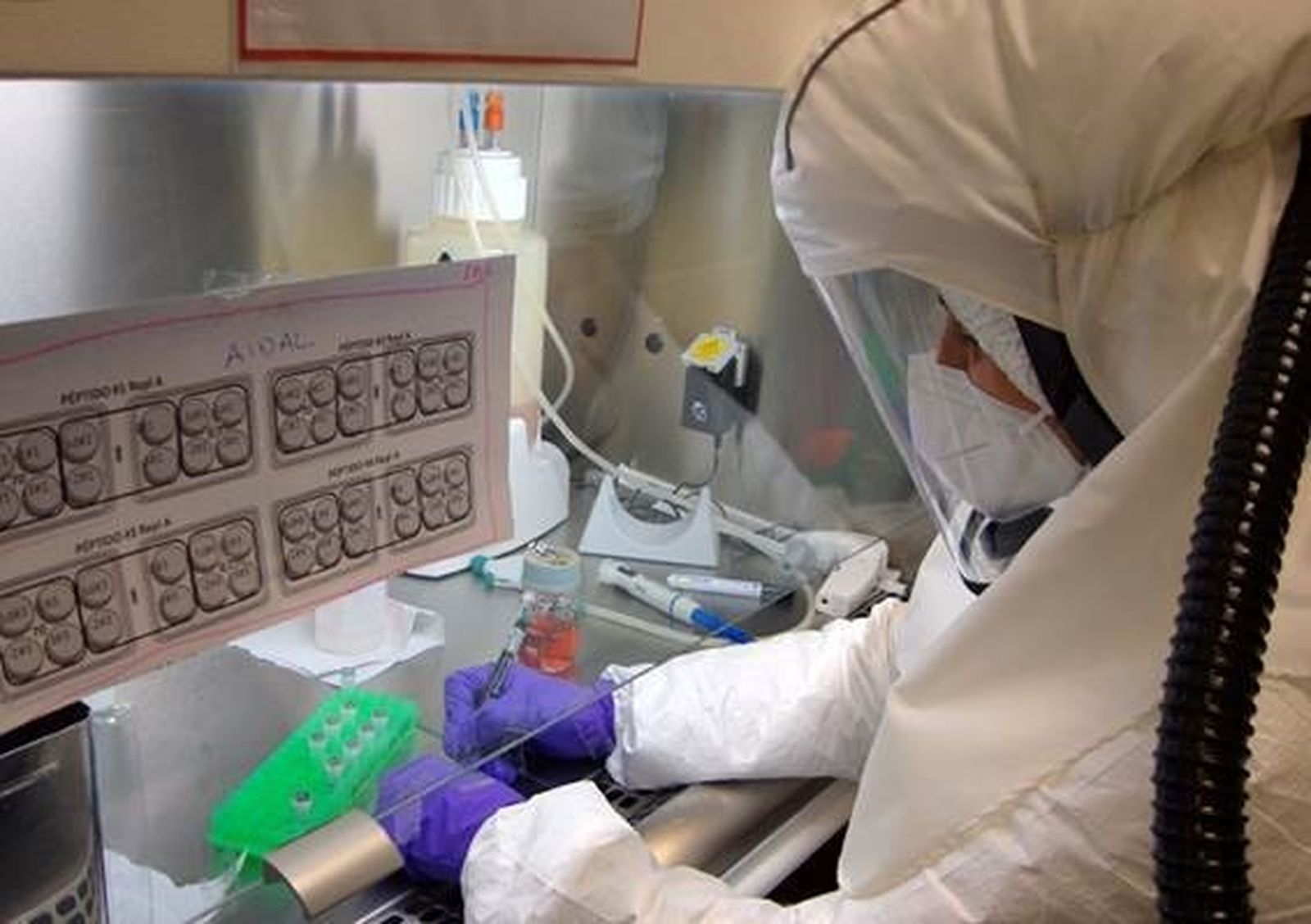Una investigadora trabaja en el laboratorio de contención biológica