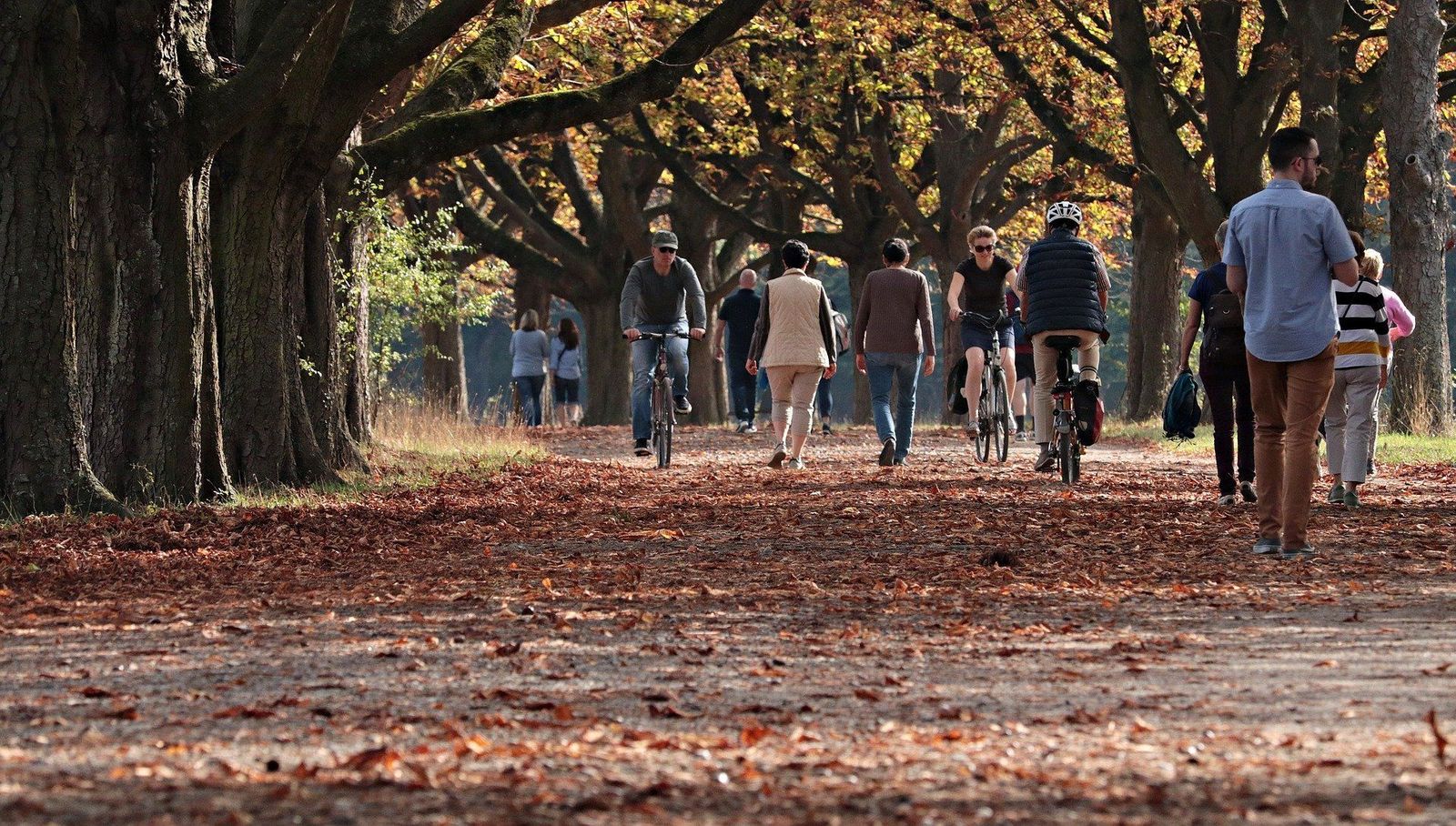 La llegada del otoño puede provocar decaimiento, apatía, falta de apetito o insomnio