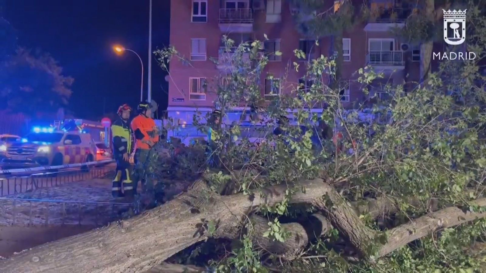 Un joven, en estado crítico tras caer la rama de un árbol sobre un banco en Carabanchel