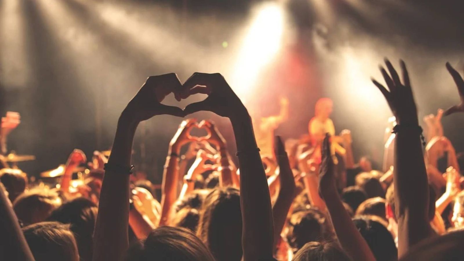 Personas en un concierto