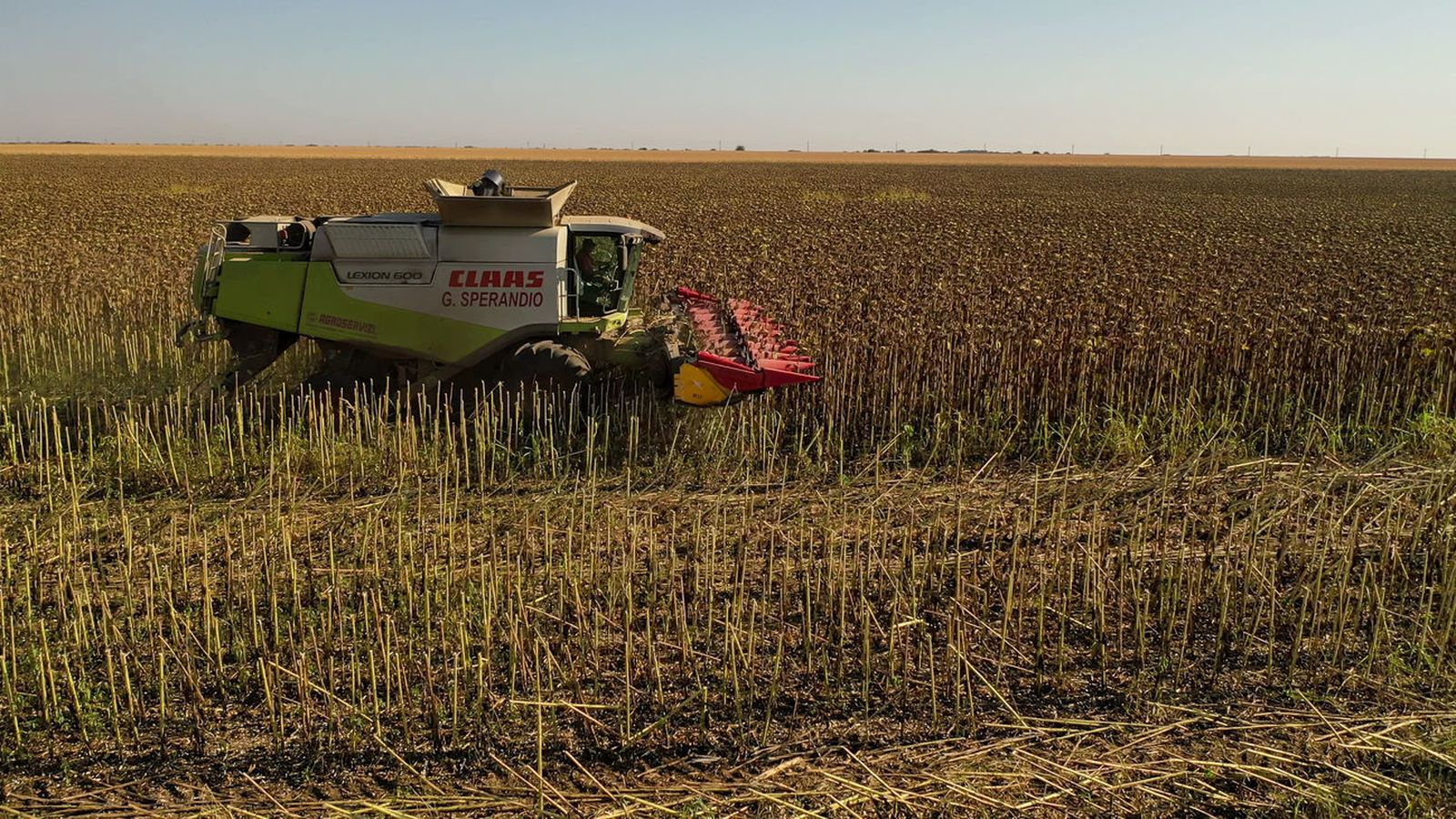 Cooperativa Agrarias de Madrid ofrecerán sus productos este sábado en el Ensanche de Vallecas