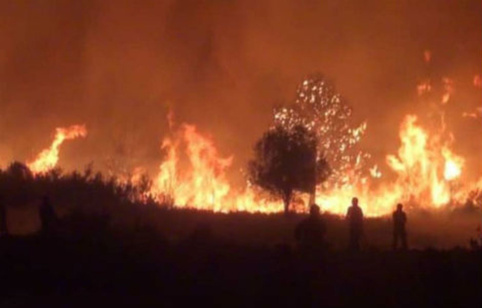 El incendio de Girona se da por estabilizado tras quemar 14.000 hectáreas