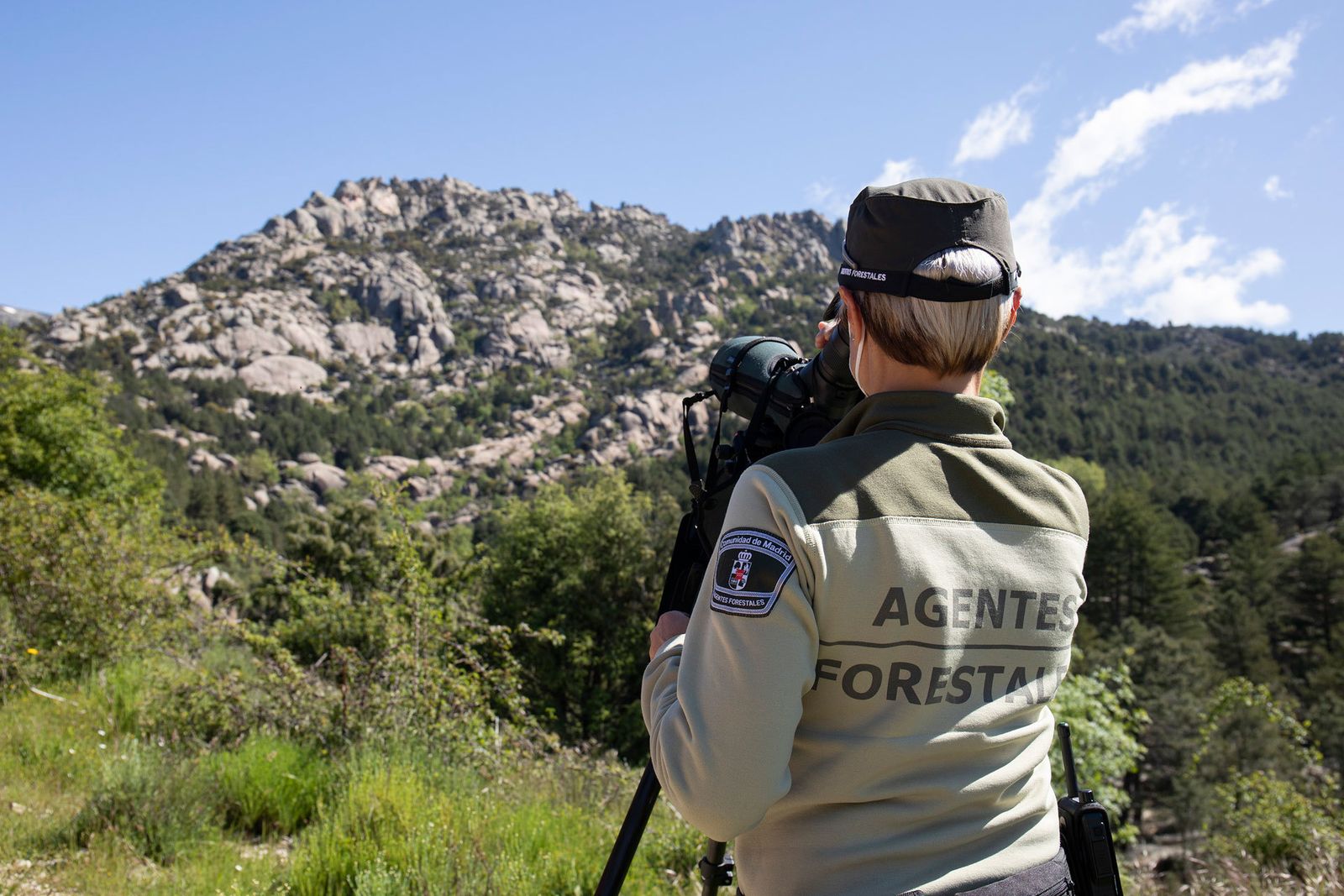 Un agente forestal observa por una cámara durante una visita a La Pedriza