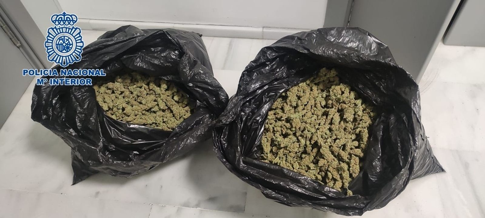 Se intervino la plantación de marihuana, picadura, cogollos secos y útiles para la distribución y venta de la droga