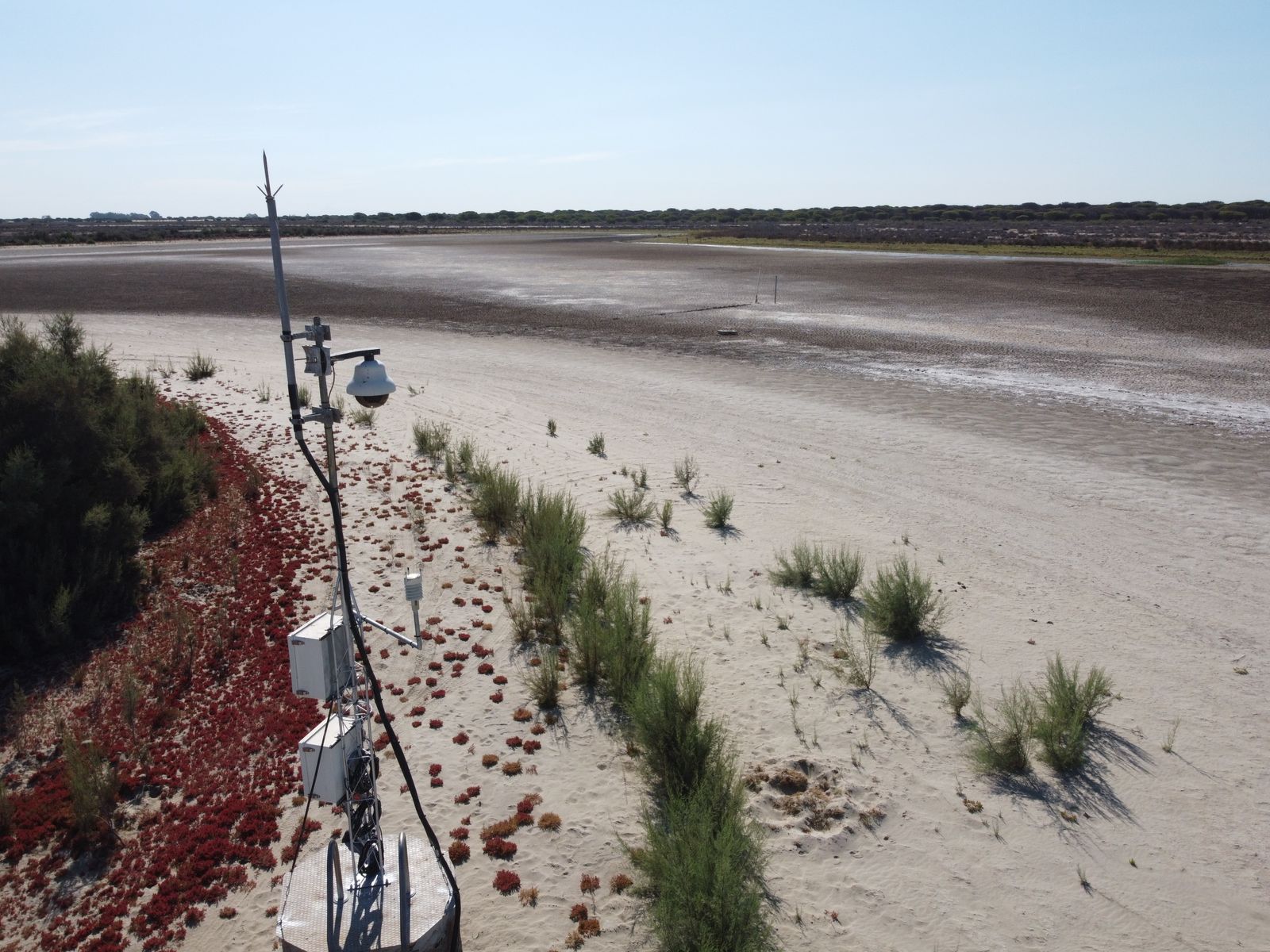 Laguna de Santa Olalla, en Doñana, completamente seca