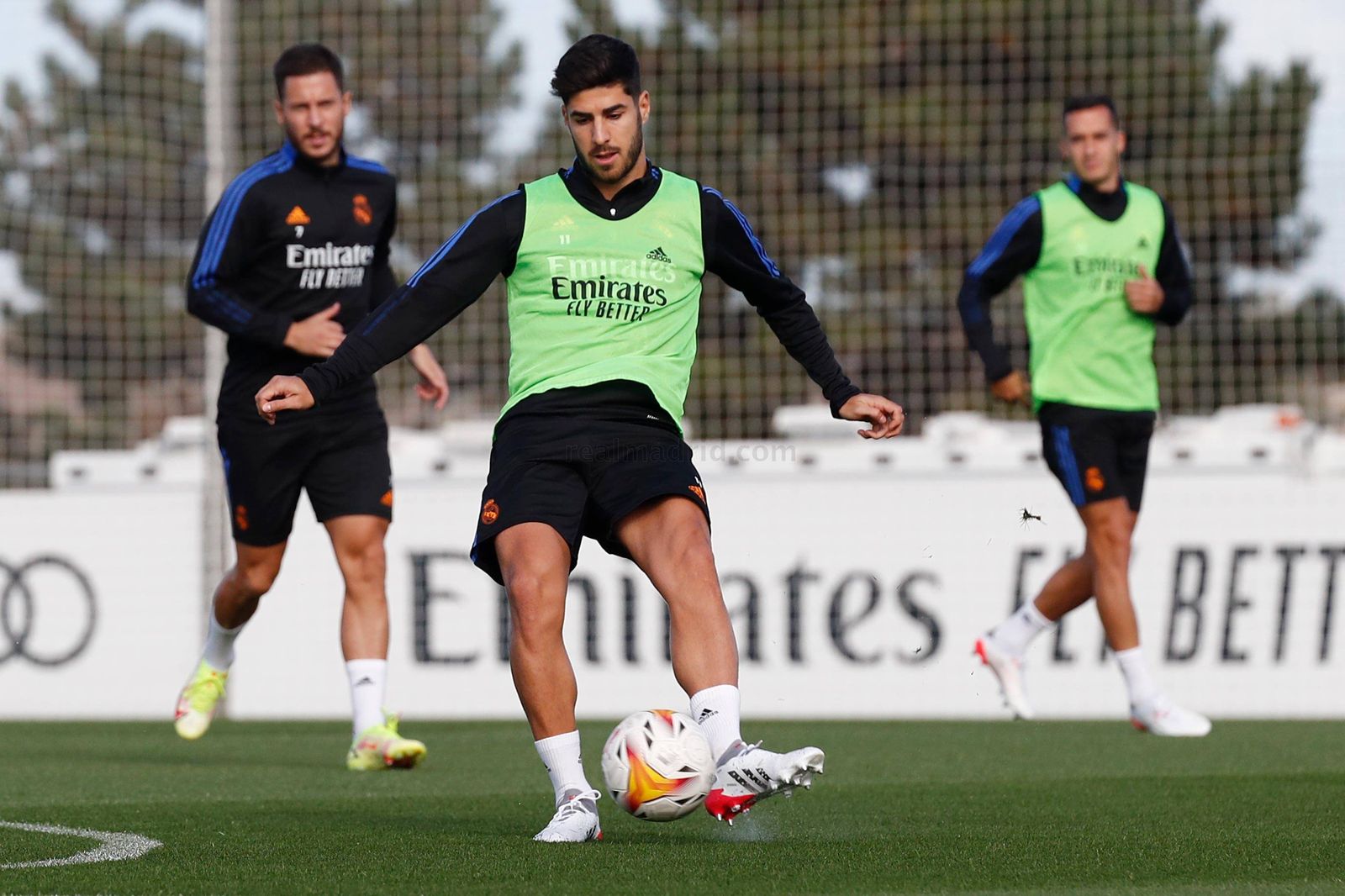 Marco Asensio