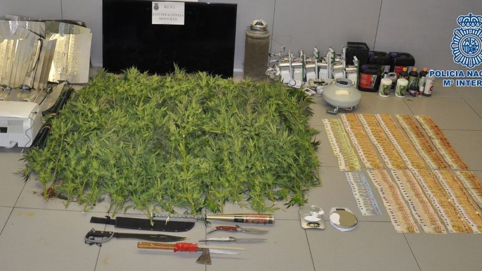 La Policía de Móstoles se incauta de más de 400 plantas de marihuana en el poblado de Las Sabinas