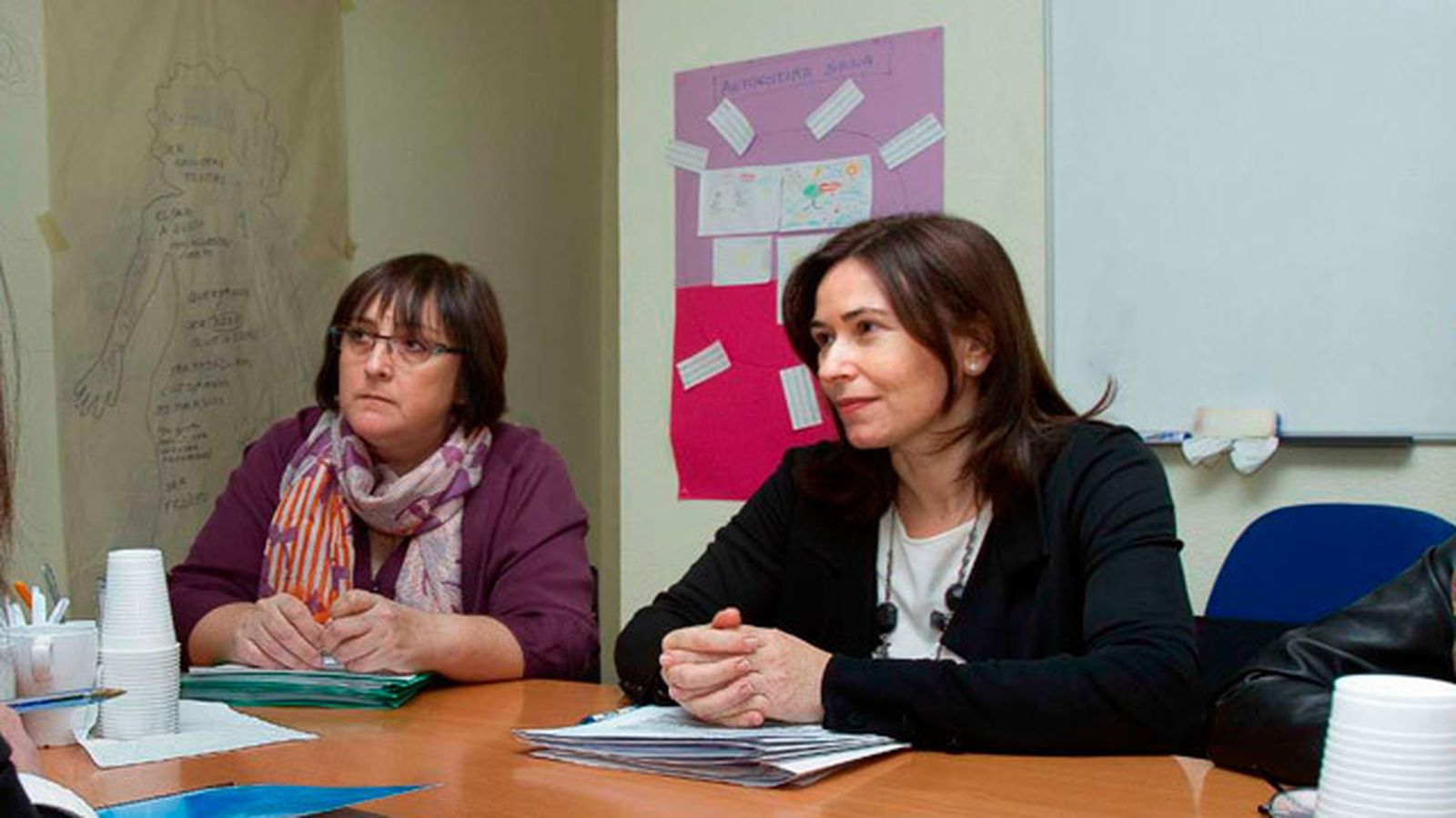 Centro de Atención Integral a Mujeres Víctimas de Violencia Sexual