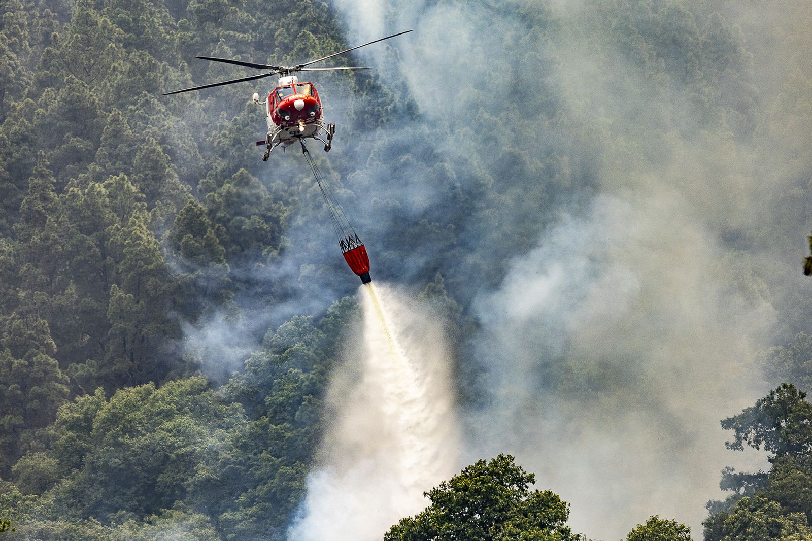 Un hidroavión trabaja en la extinción foresta en la Orotava