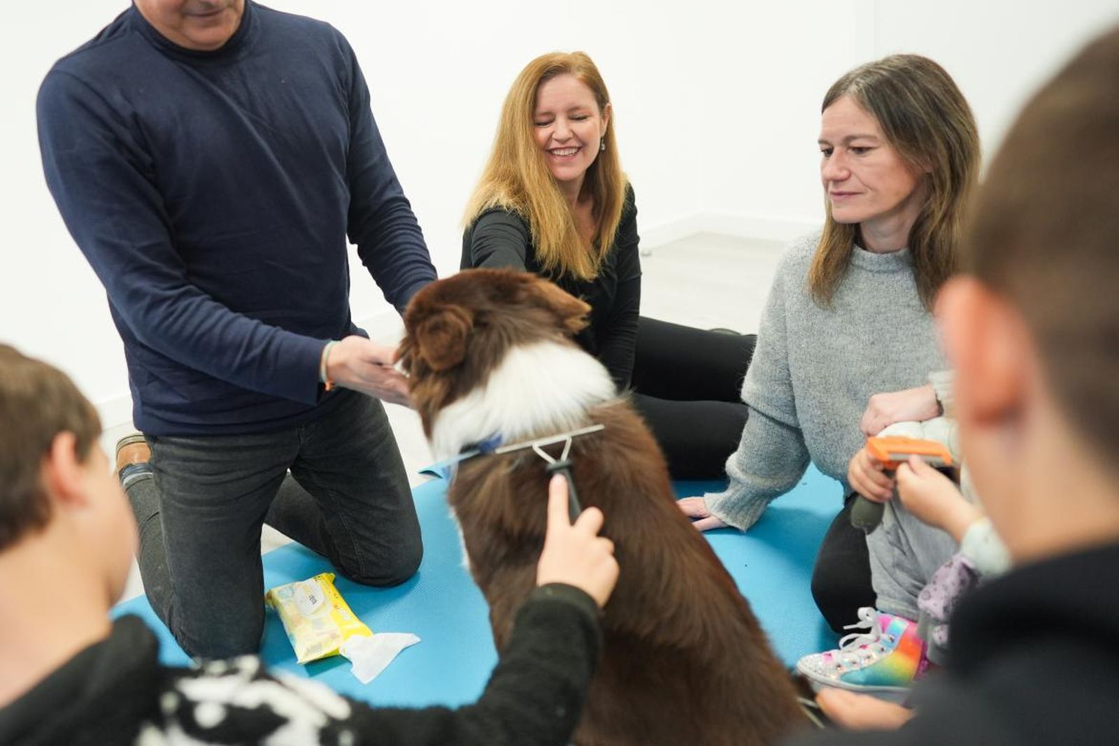 Un grupo de personas hace terapia con un perro
