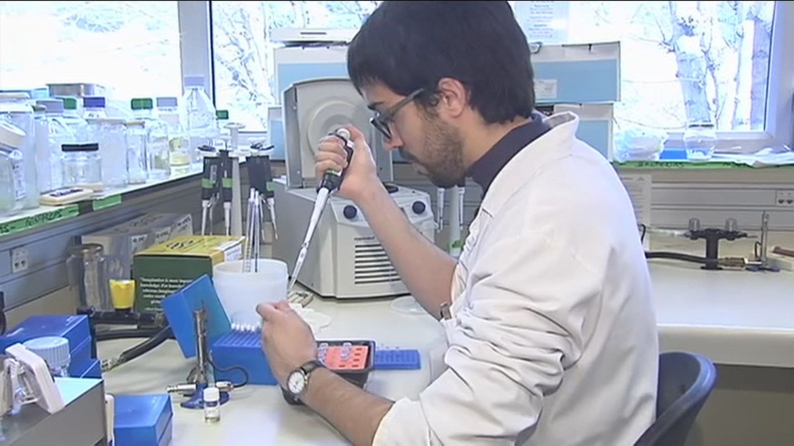 Logran el segundo caso en el mundo de remisión del VIH sin antirretrovirales