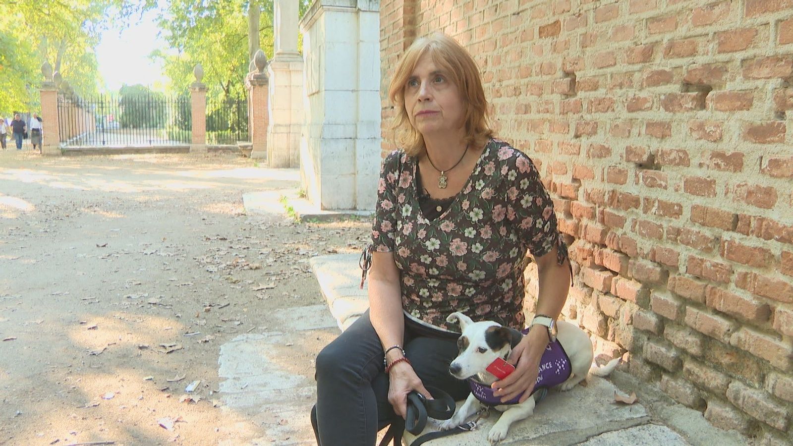 Detectan una crisis de epilepsia antes de que ocurra: así actúan los perros de alerta médica