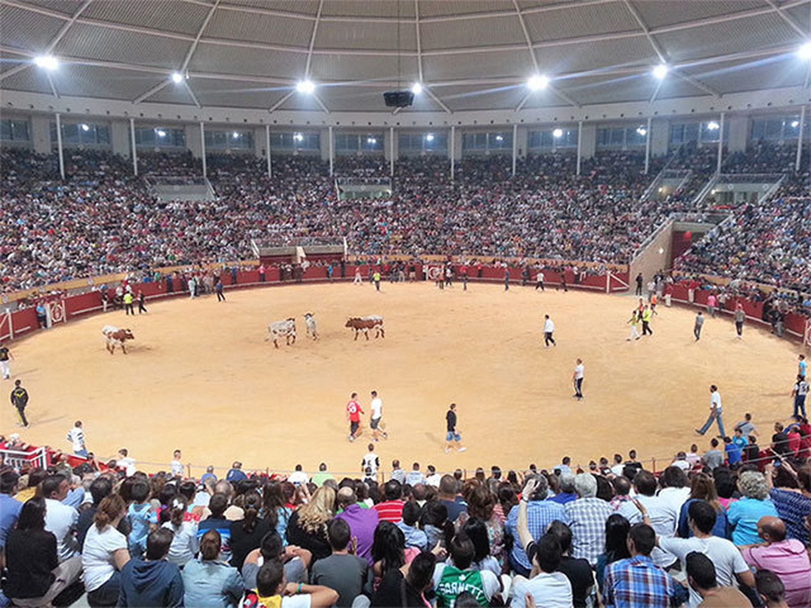 Encierro en Navalcarnero