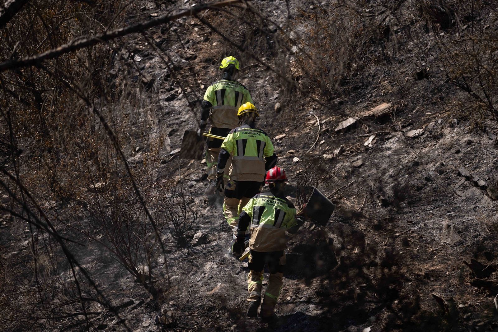 Bomberos trabajan en el incendio de Niebla en el término municipal de Berrocal (Huelva), a 15 de agosto de 2026