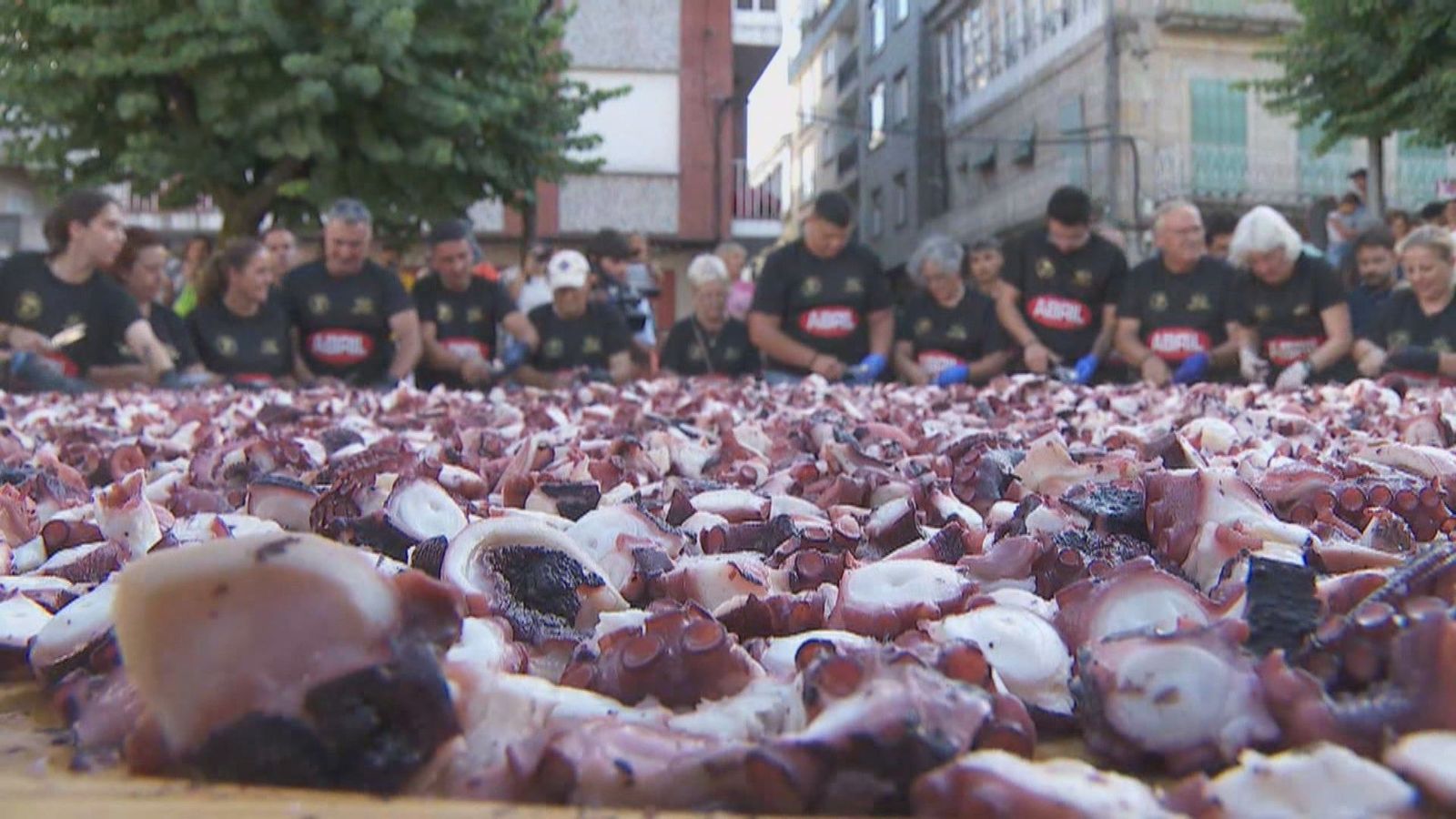 600 kilos de pulpo, 7 de sal, 3 de pimentón y 50 litros de aceite; O Carballiño prepara la tapa de pulpo más grande del mundo