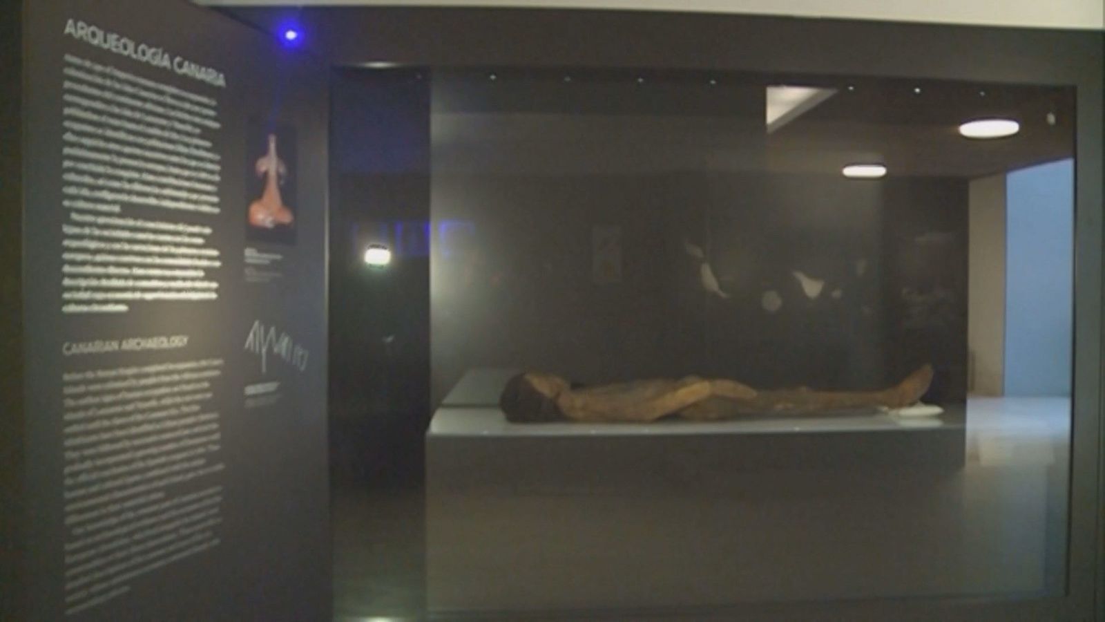 Los Museos Estatales de Cultura comienzan a retirar restos humanos de sus salas
