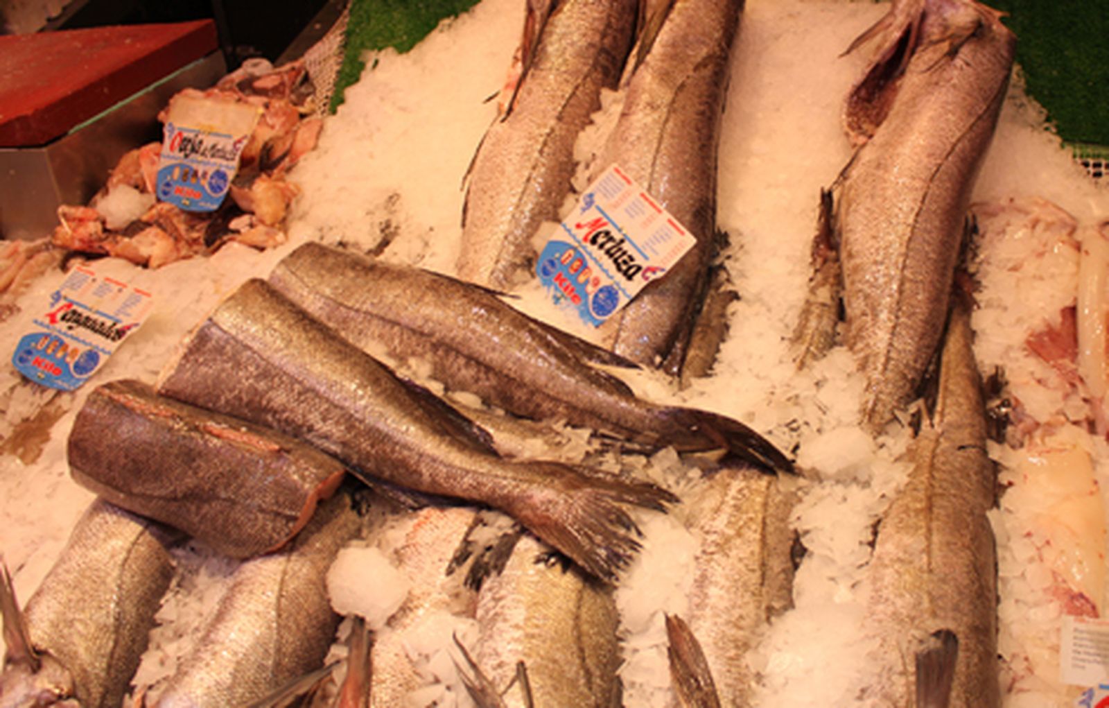 pescado_470