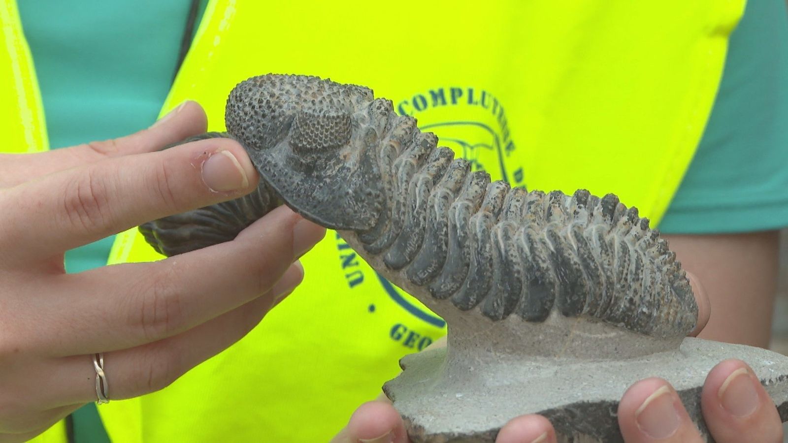 Cuando la Sierra Norte de Madrid era el fondo de un mar poblado por trilobites
