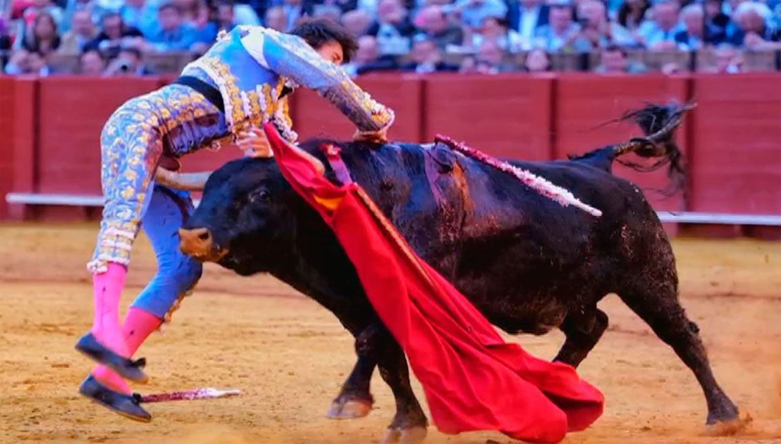 El torero Roca Rey, herido de gravedad en Sevilla, pasará a planta en las próximas horas