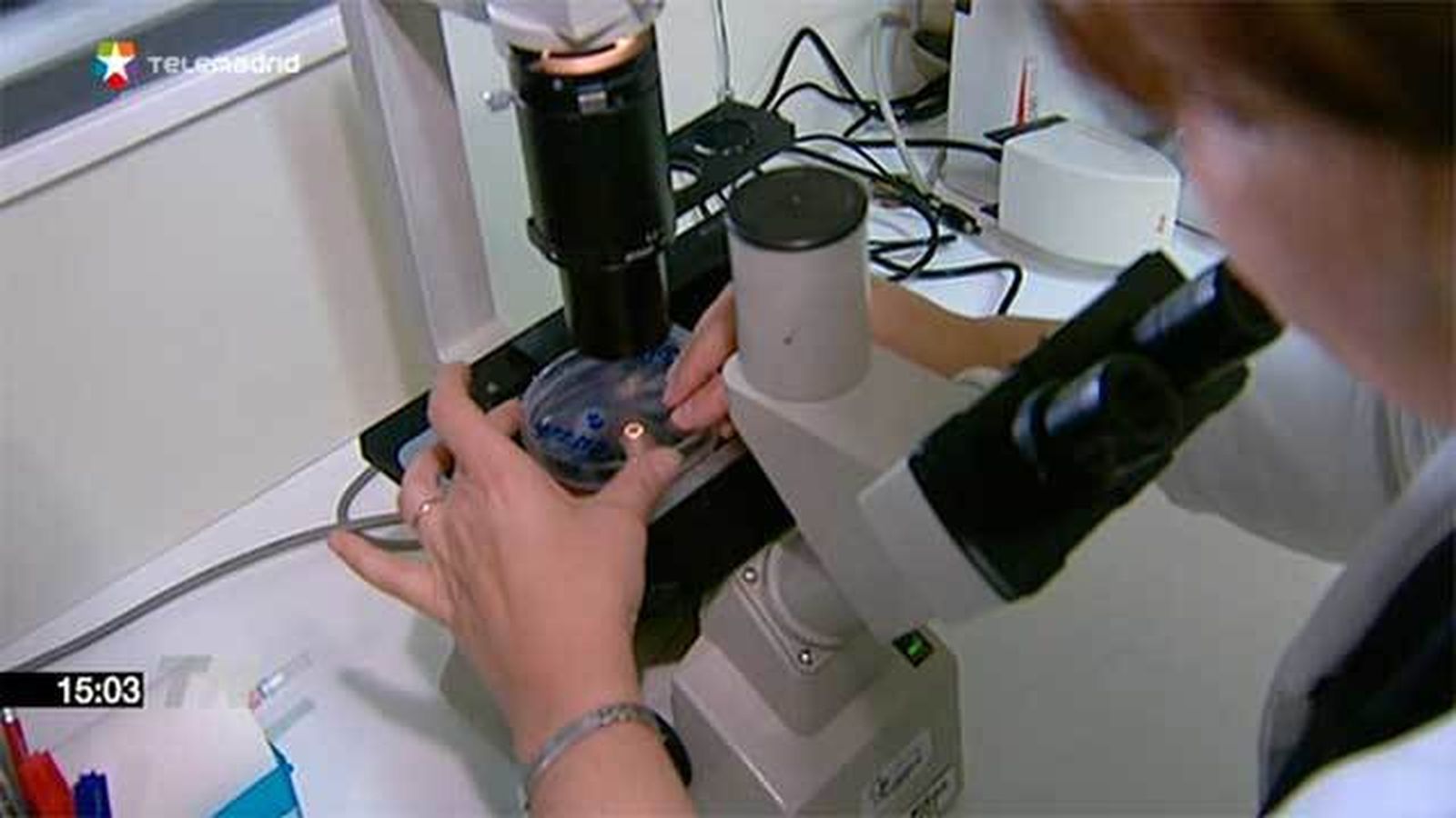 La Comunidad destinará 8,2 millones a ayudas para la investigación "de excelencia"