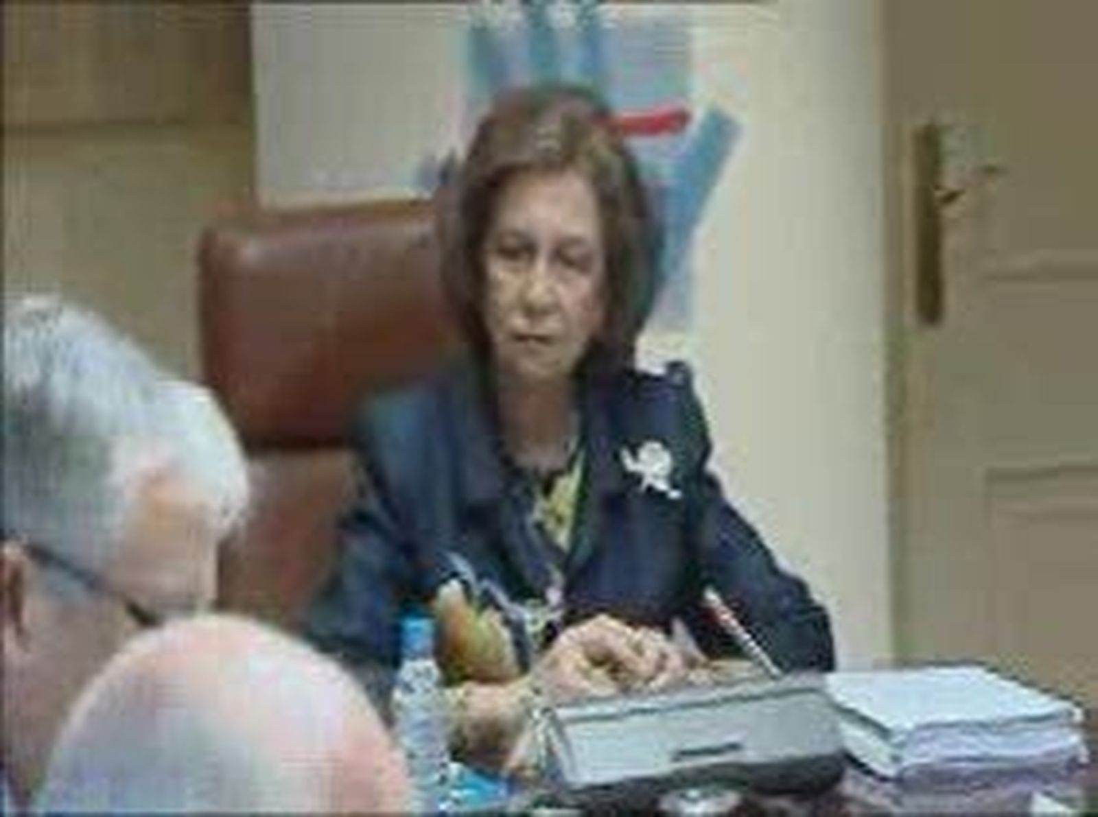 La FAD celebra su 25 aniversario en un acto presidido por la reina doña Sofía