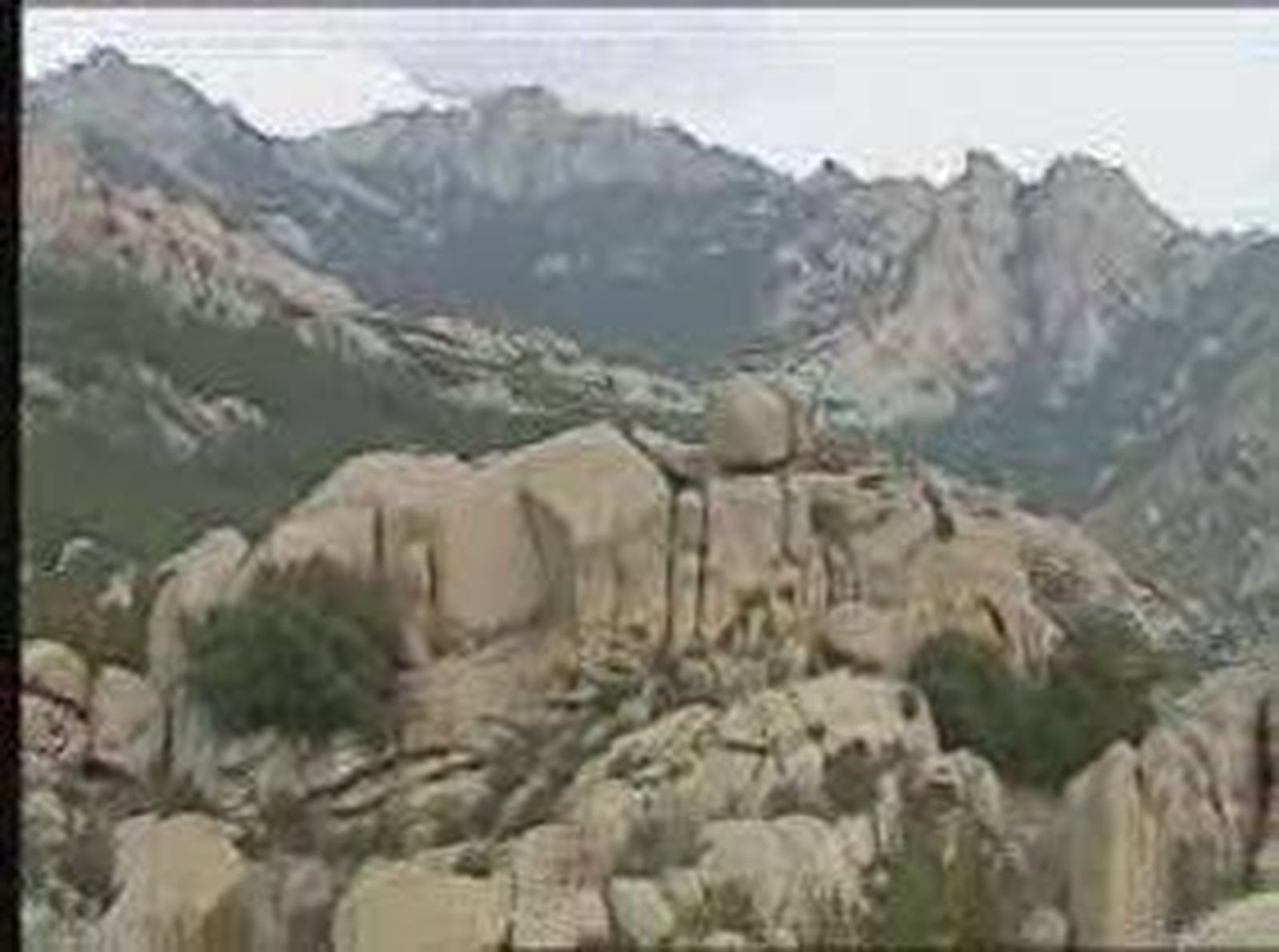 Luz verde al Parque Nacional de las Cumbres de la Sierra de Guadarrama