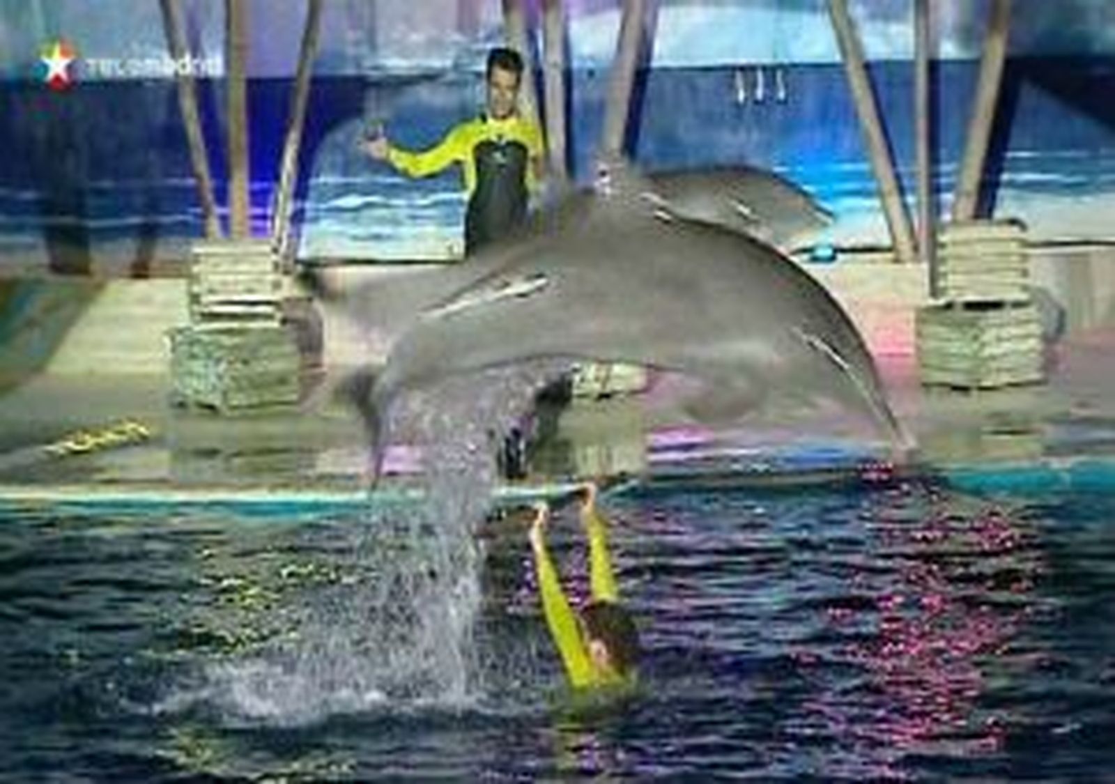 Se encienden las noches de verano en Zoo Aquarium de Madrid