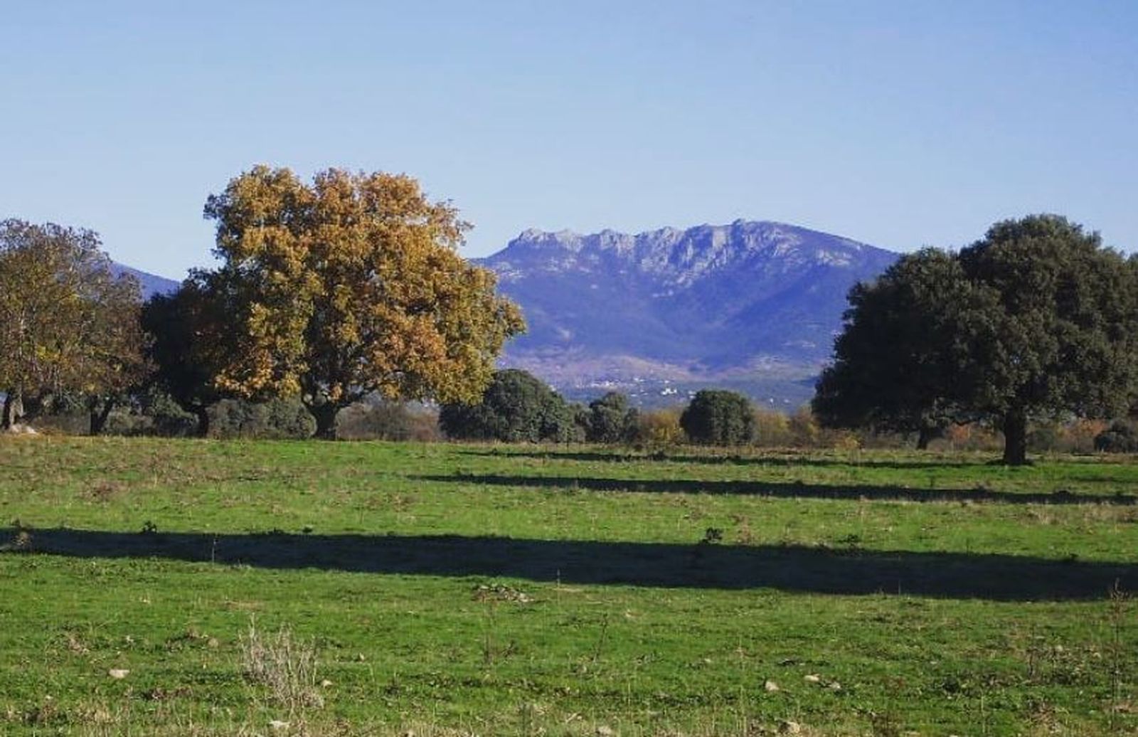 Más de 20 hitos turísticos  de San Lorenzo del Escorial cuentan ya con un código QR