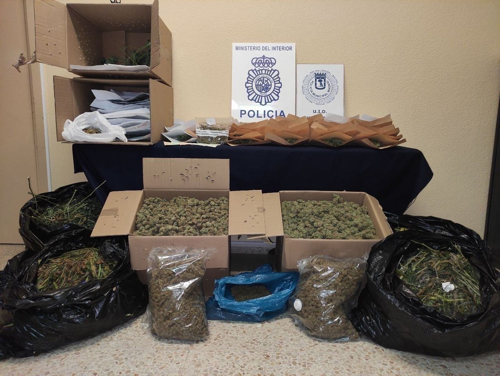 Cuatro detenidos por cultivar marihuana en vivienda del barrio de Fuencarral