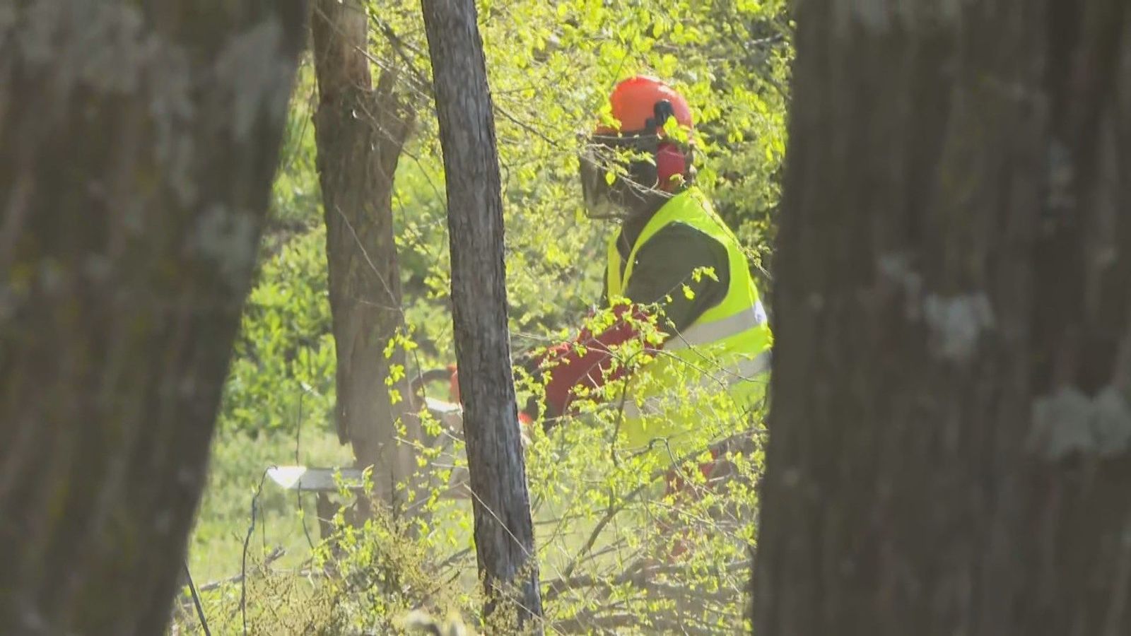 Vecinos de Montecarmelo paralizan la tala de árboles para construir el cantón de limpieza