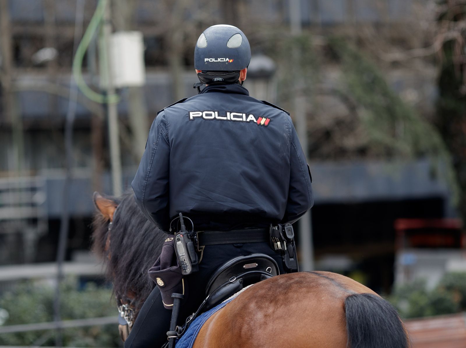 Agente de Policía Nacional a caballo