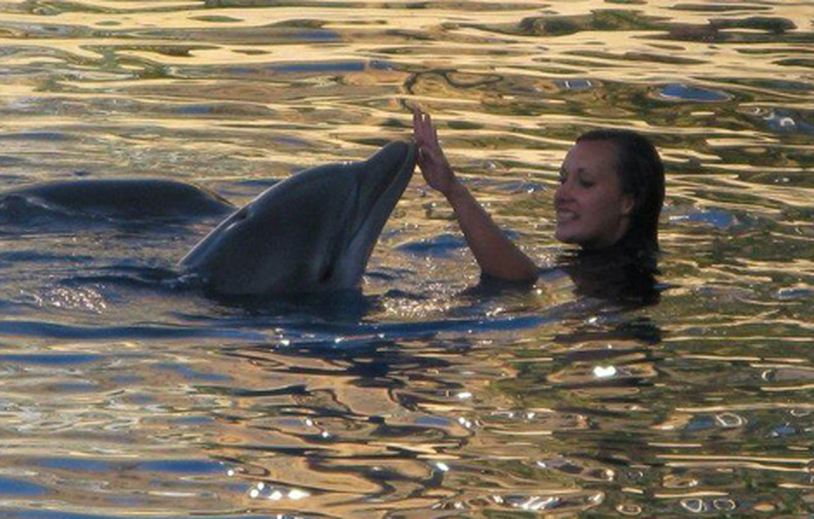 delfines_470