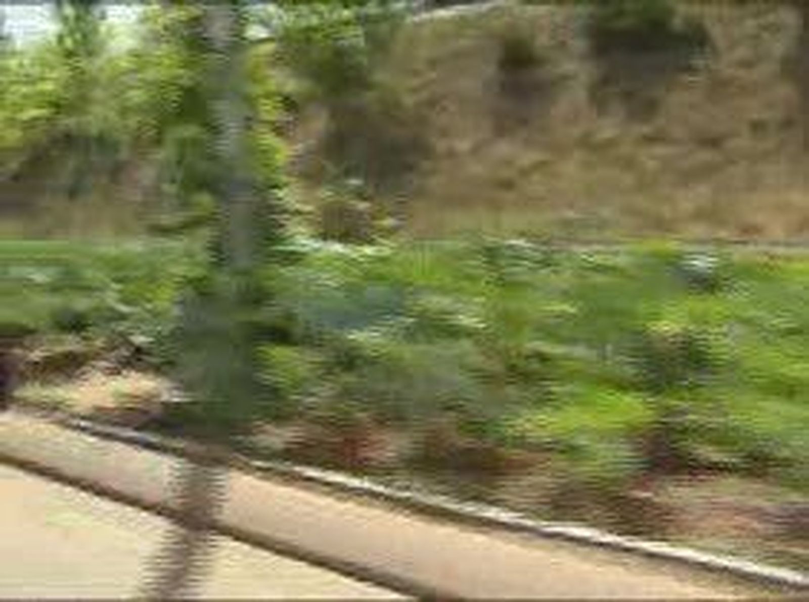 Taxistas plantan huertos en Barajas