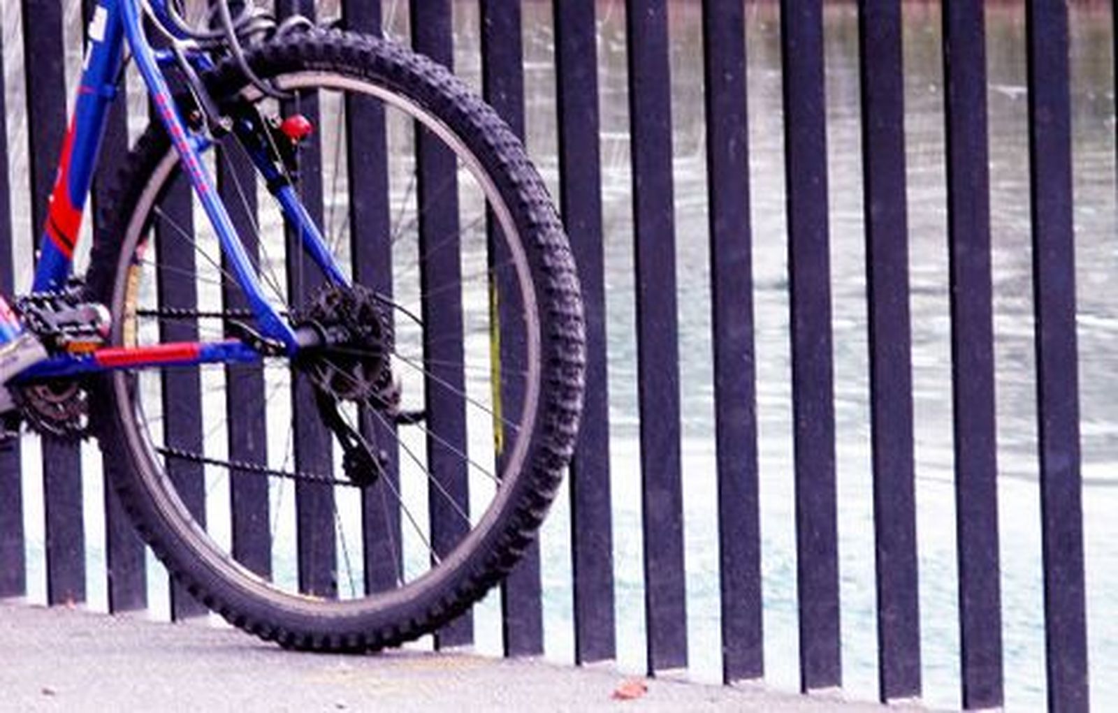 Interior, abierto a consensuar la edad de uso del casco de bici en ciudad