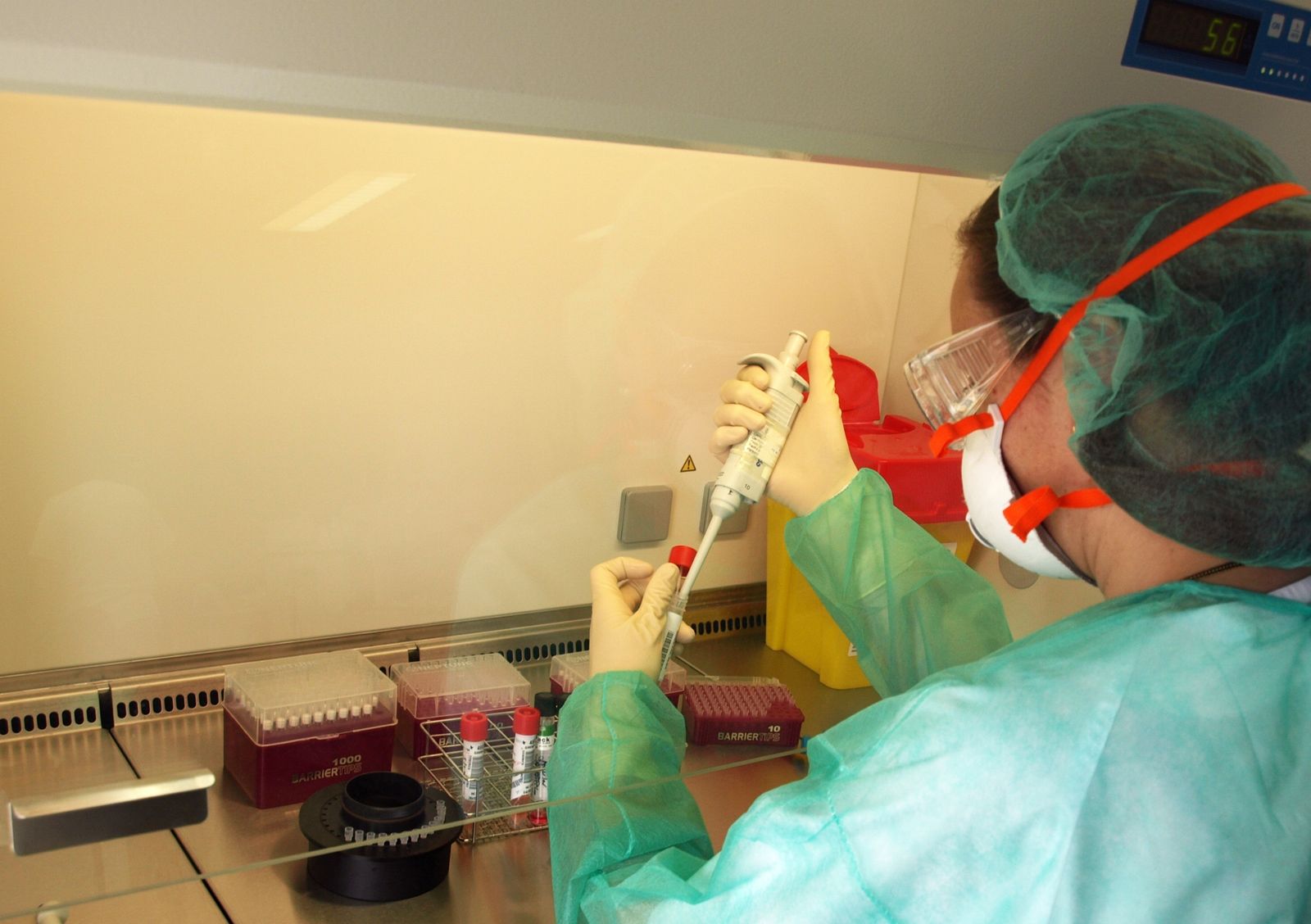 Una investigadora procesa muestras de sangre en una campana de seguridad