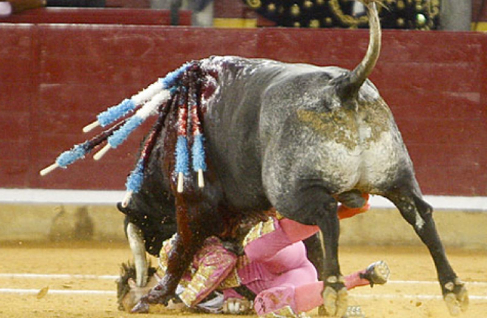 padilla_toros