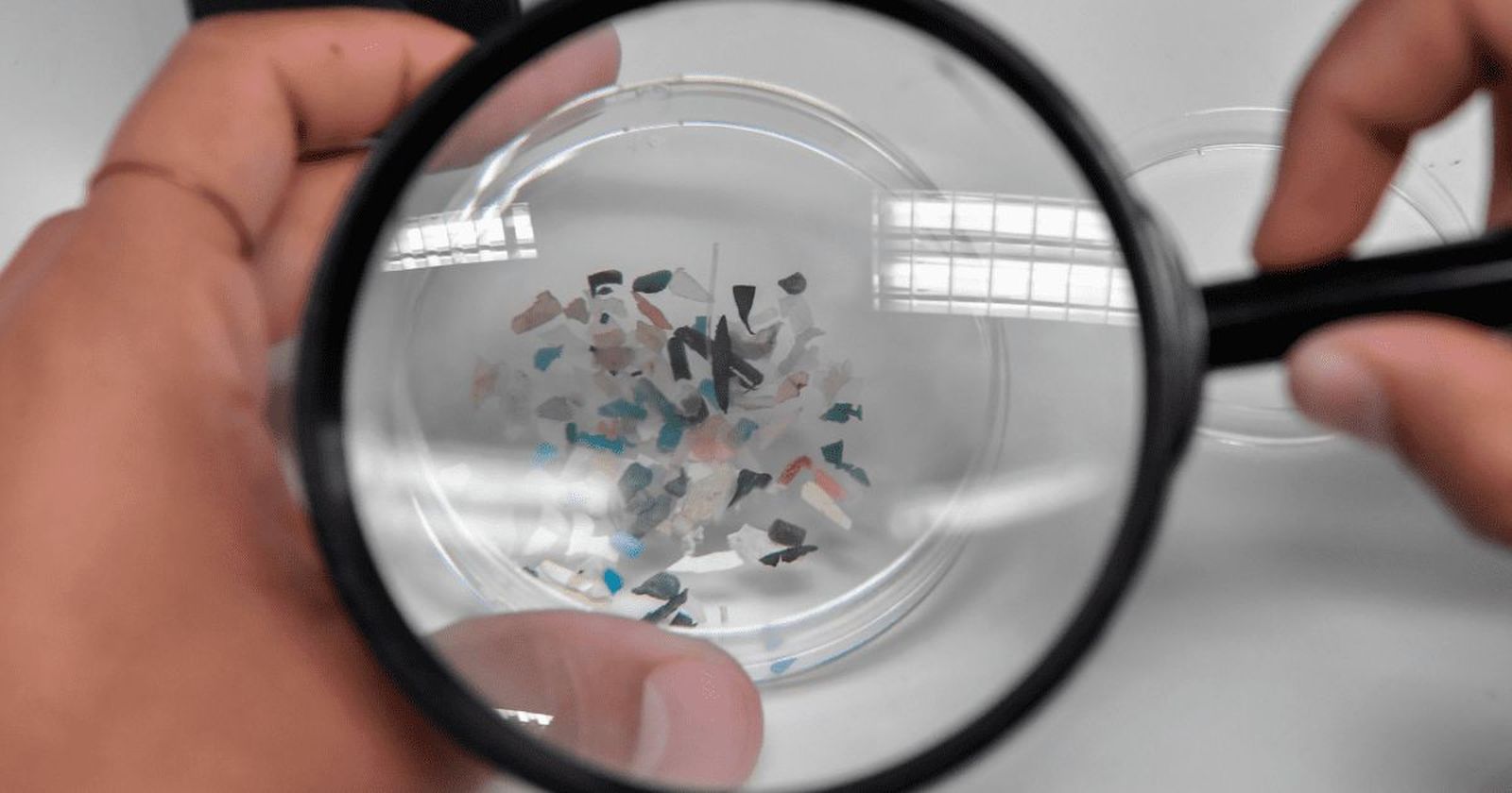 Microplásticos