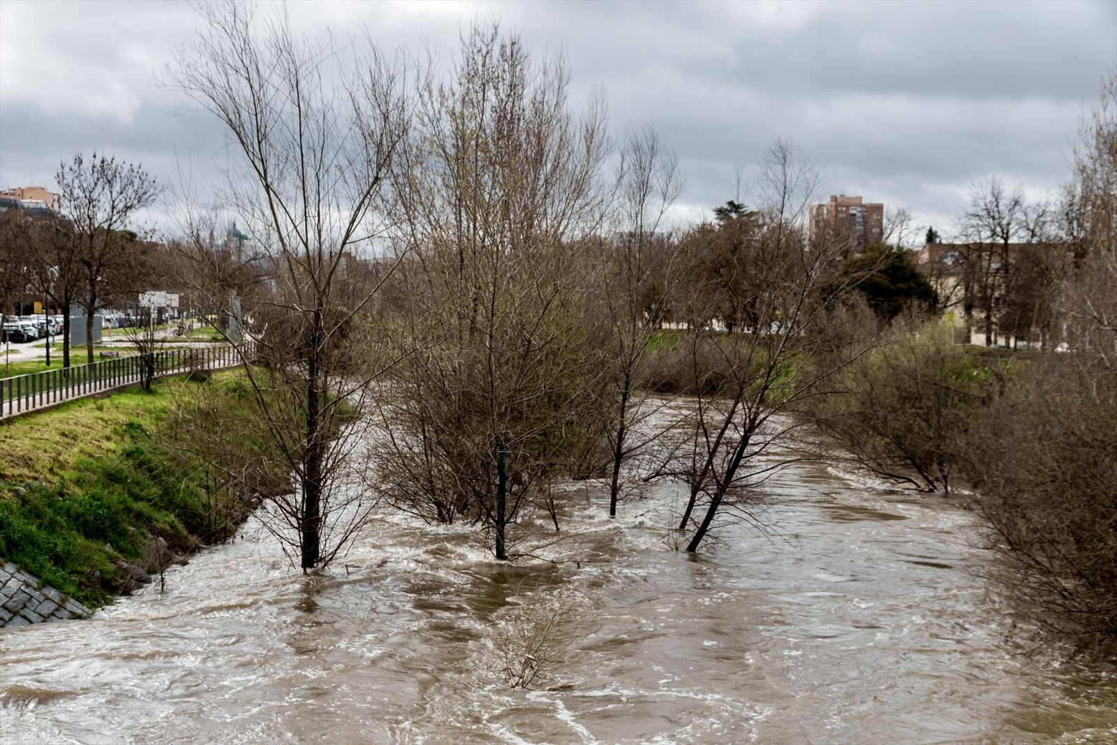 El río Manzanares a su paso por el puente de los Franceses, a 21 de marzo de 2025