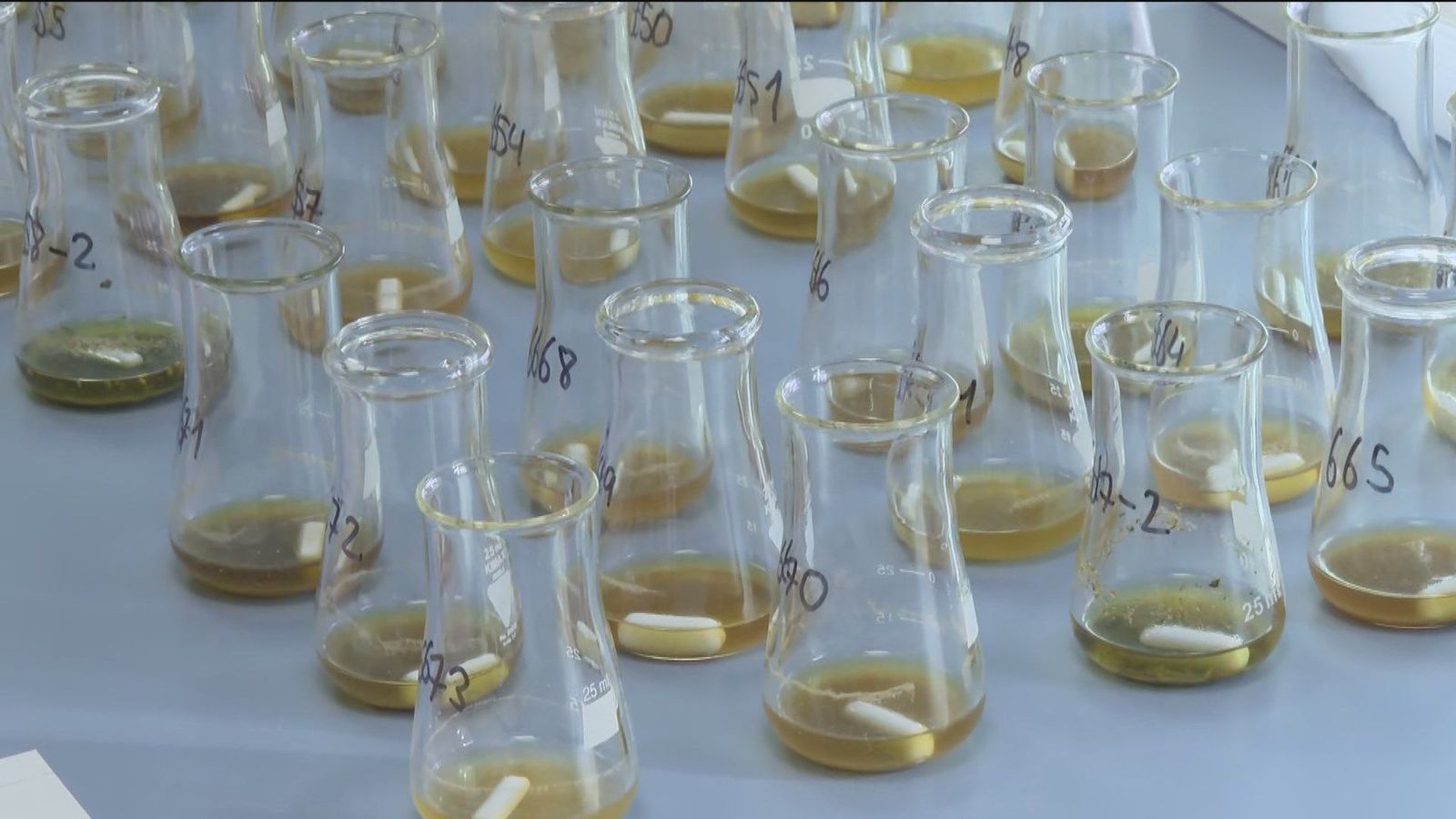 Agua, alimentos, bebidas, aire, drogas... el Laboratorio de Salud Pública de Madrid analizó en 2023 más de 14.000 muestras