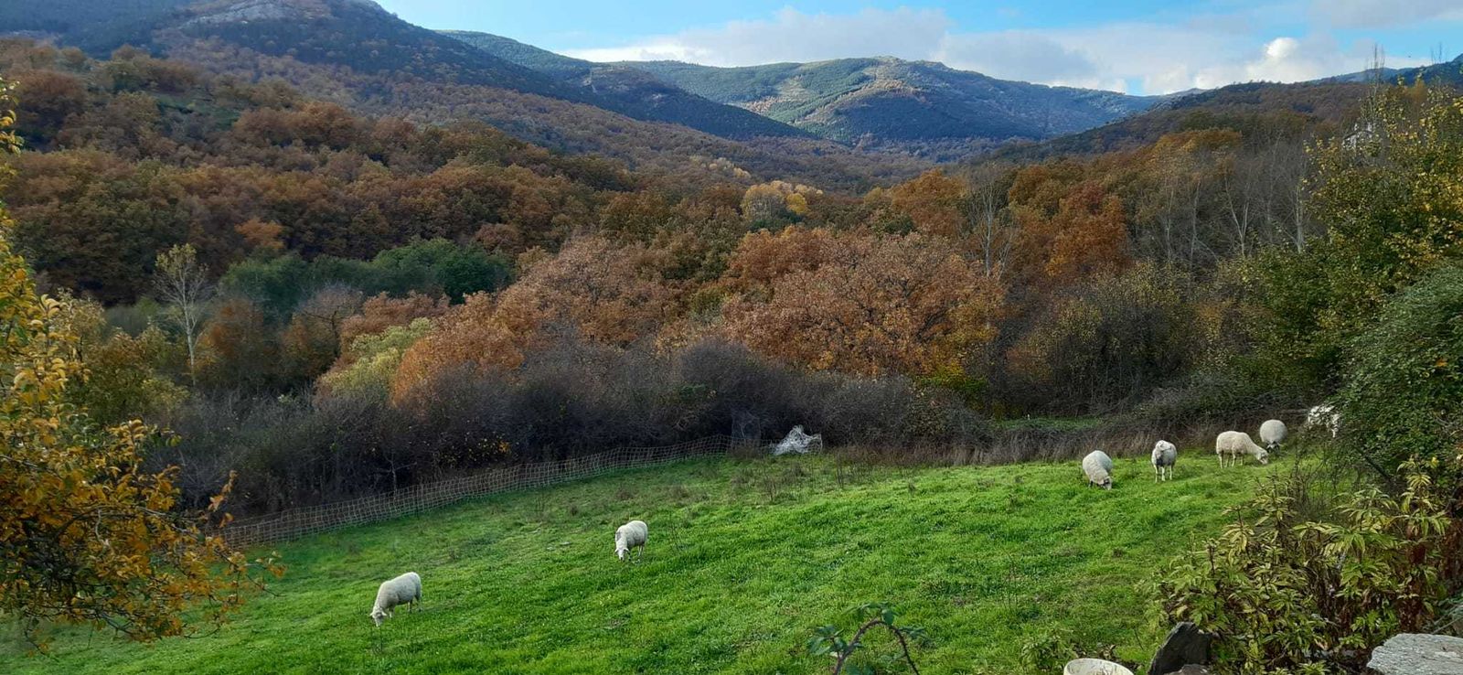 Paisaje de Puebla de la Sierra