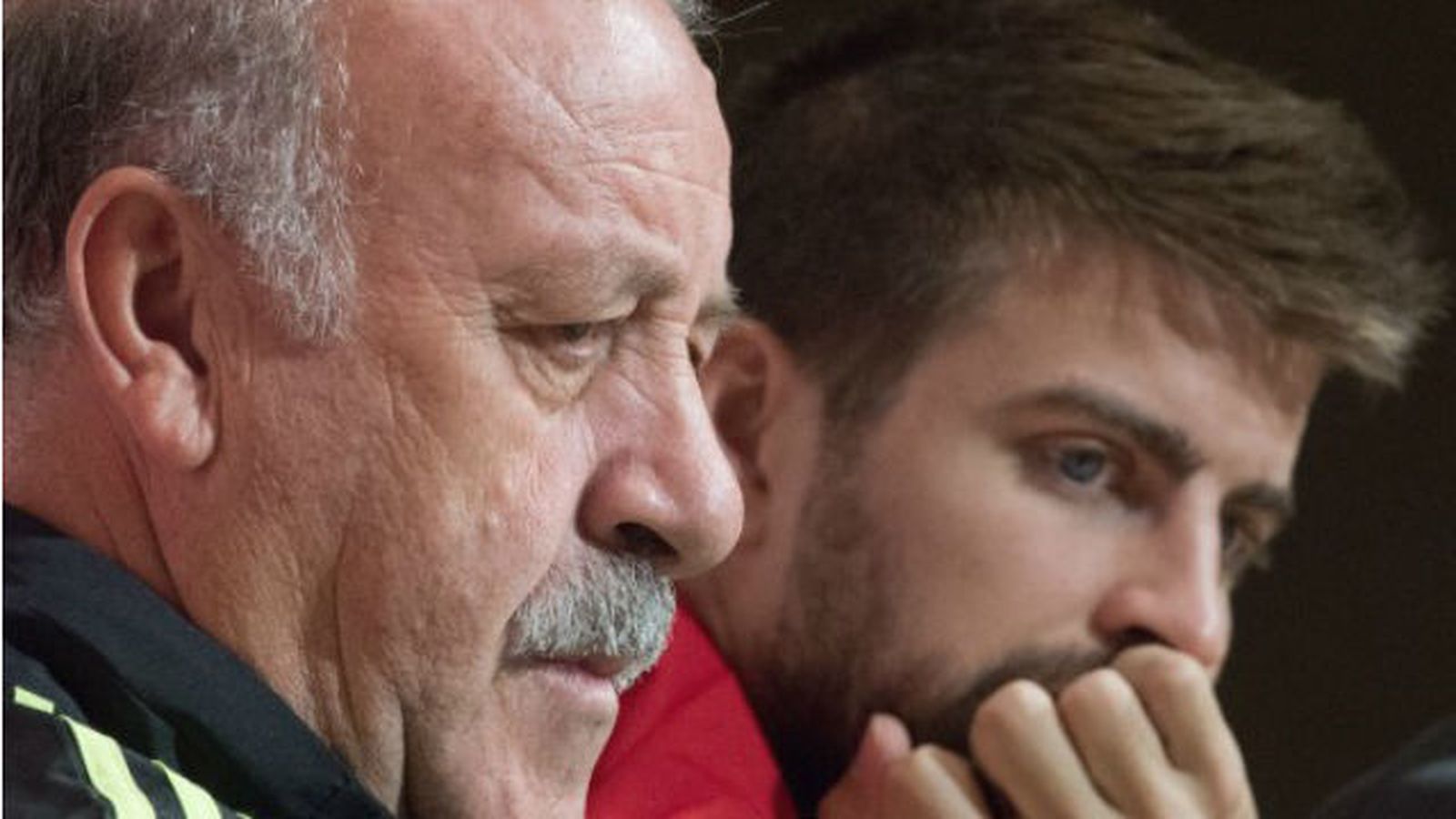 Del Bosque y Piqué