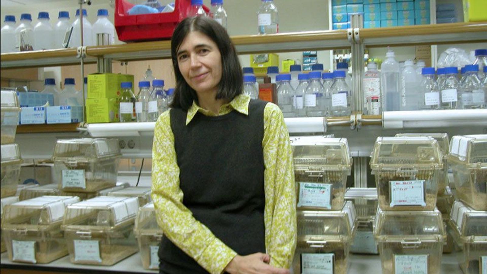 Curan la fibrosis pulmonar en ratones rejuveneciendo los tejidos afectados