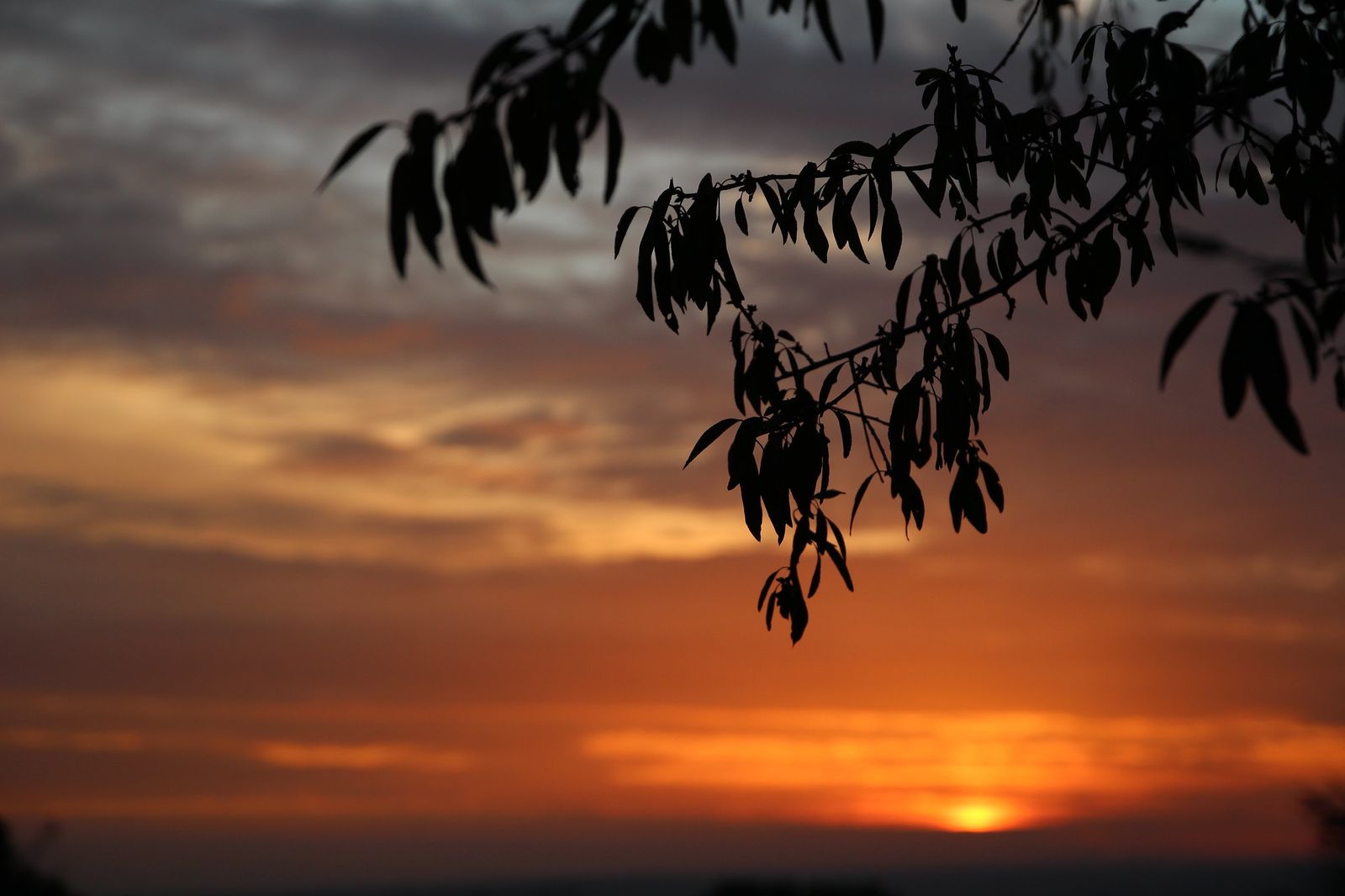 Atardecer en la Dhesa de la Villa
